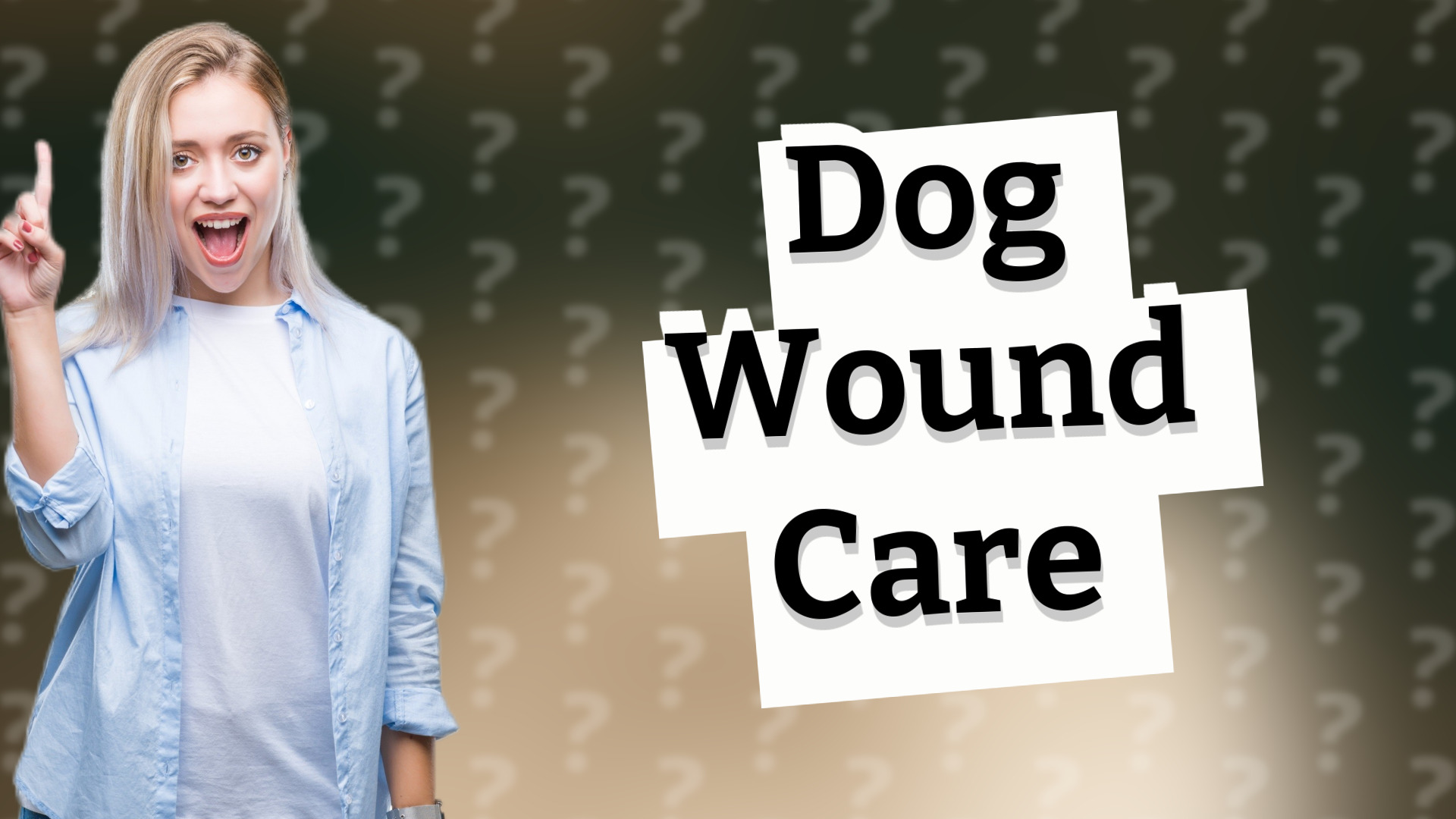 Dog Wound Care