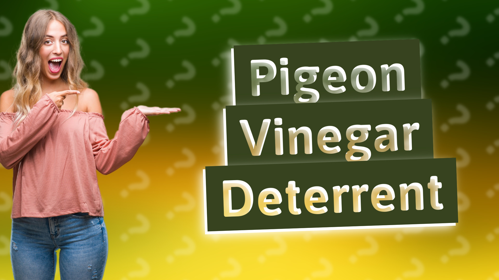 Pigeon Vinegar Deterrent