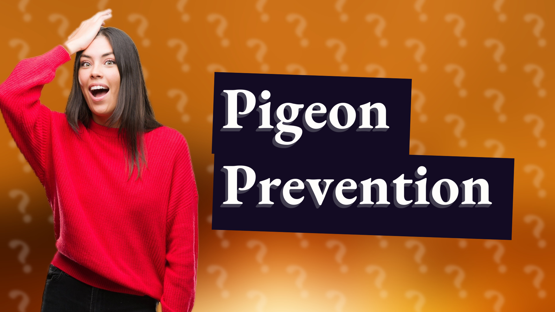 Pigeon Prevention