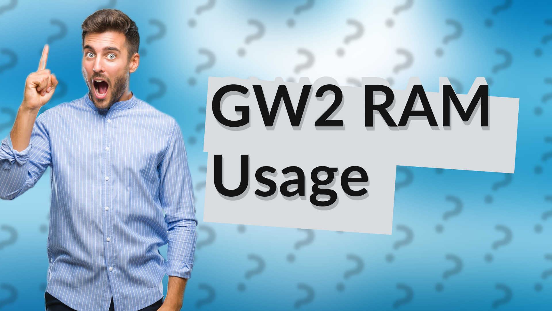 GW2 RAM Usage