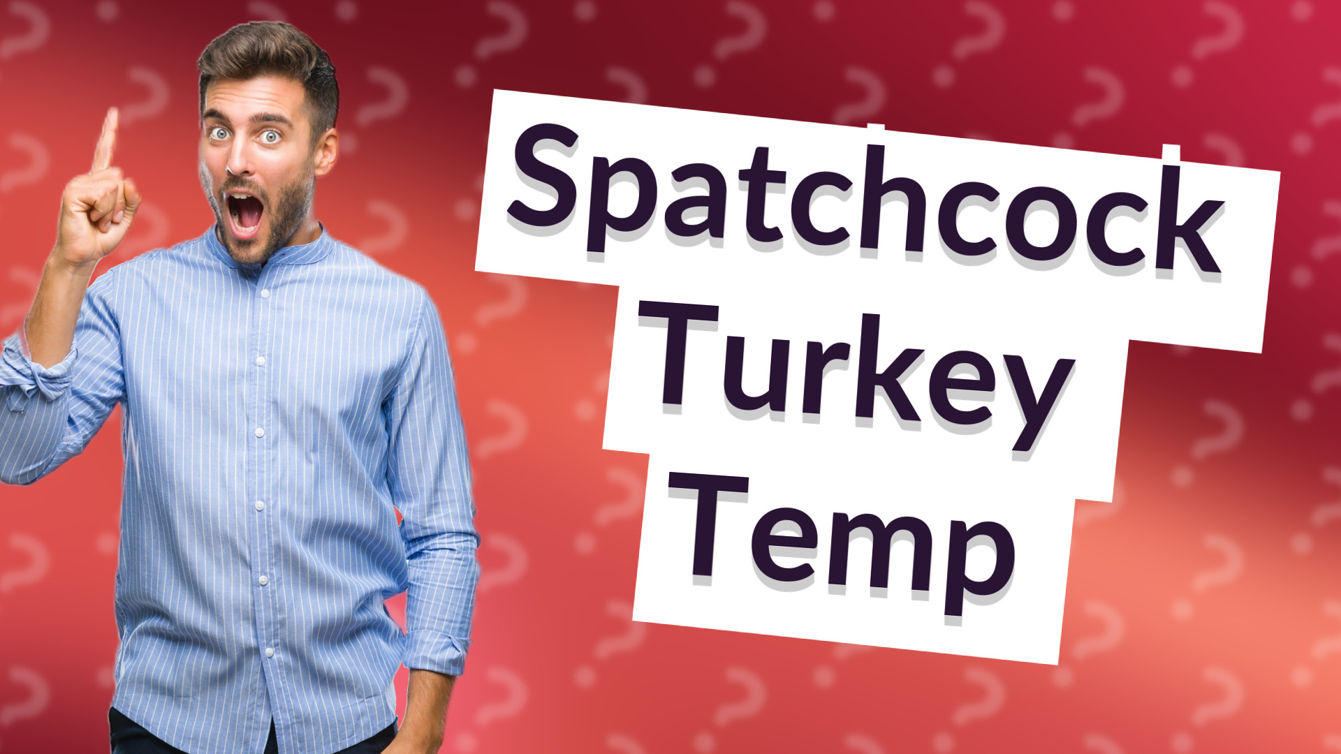 Spatchcock Turkey Temp