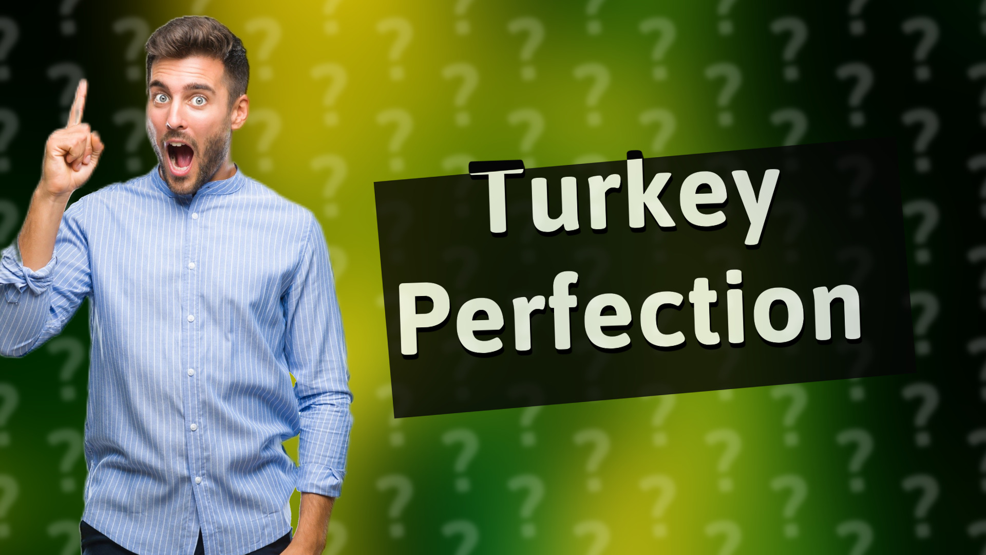 Turkey Perfection