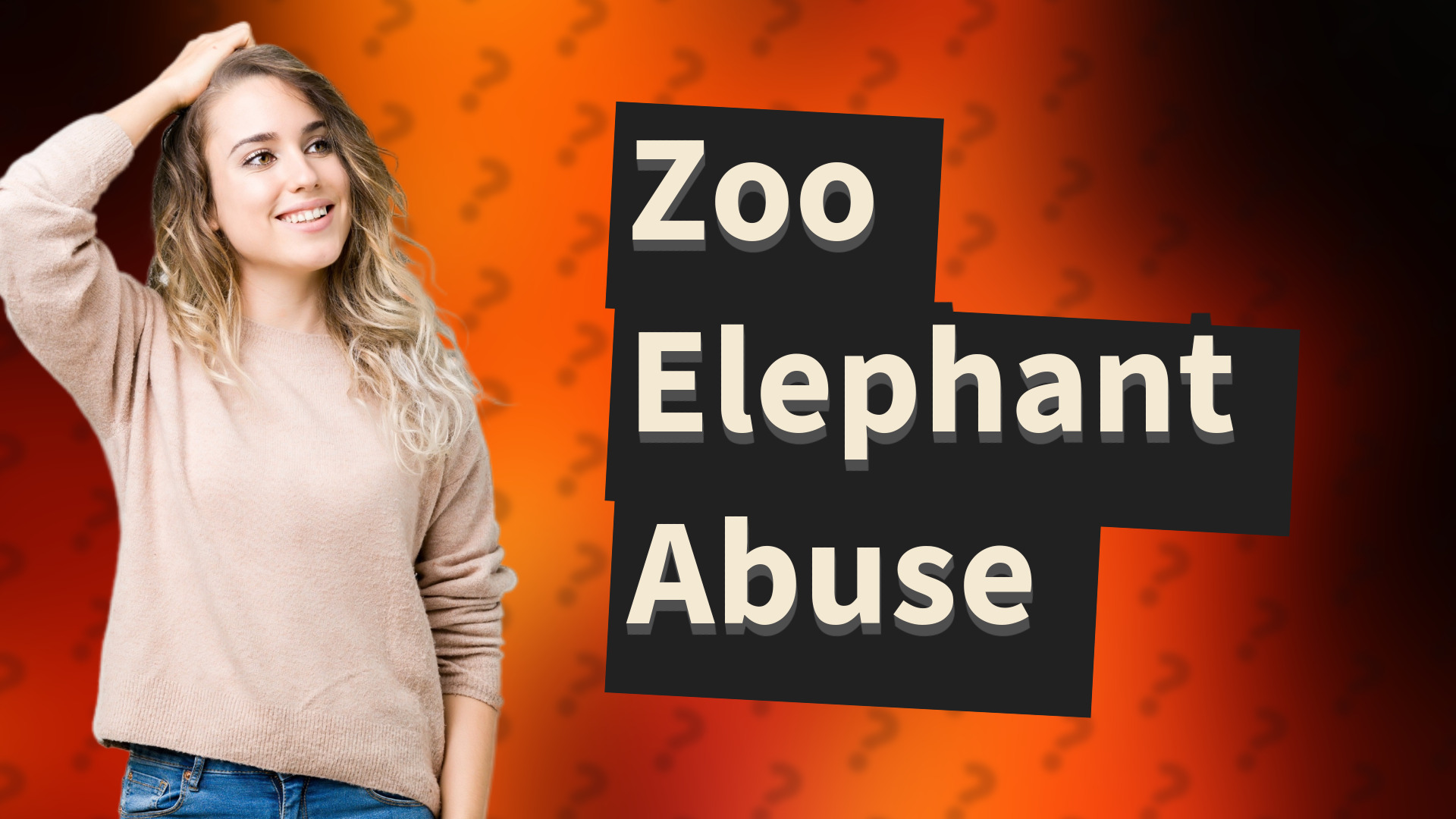 Zoo Elephant Abuse