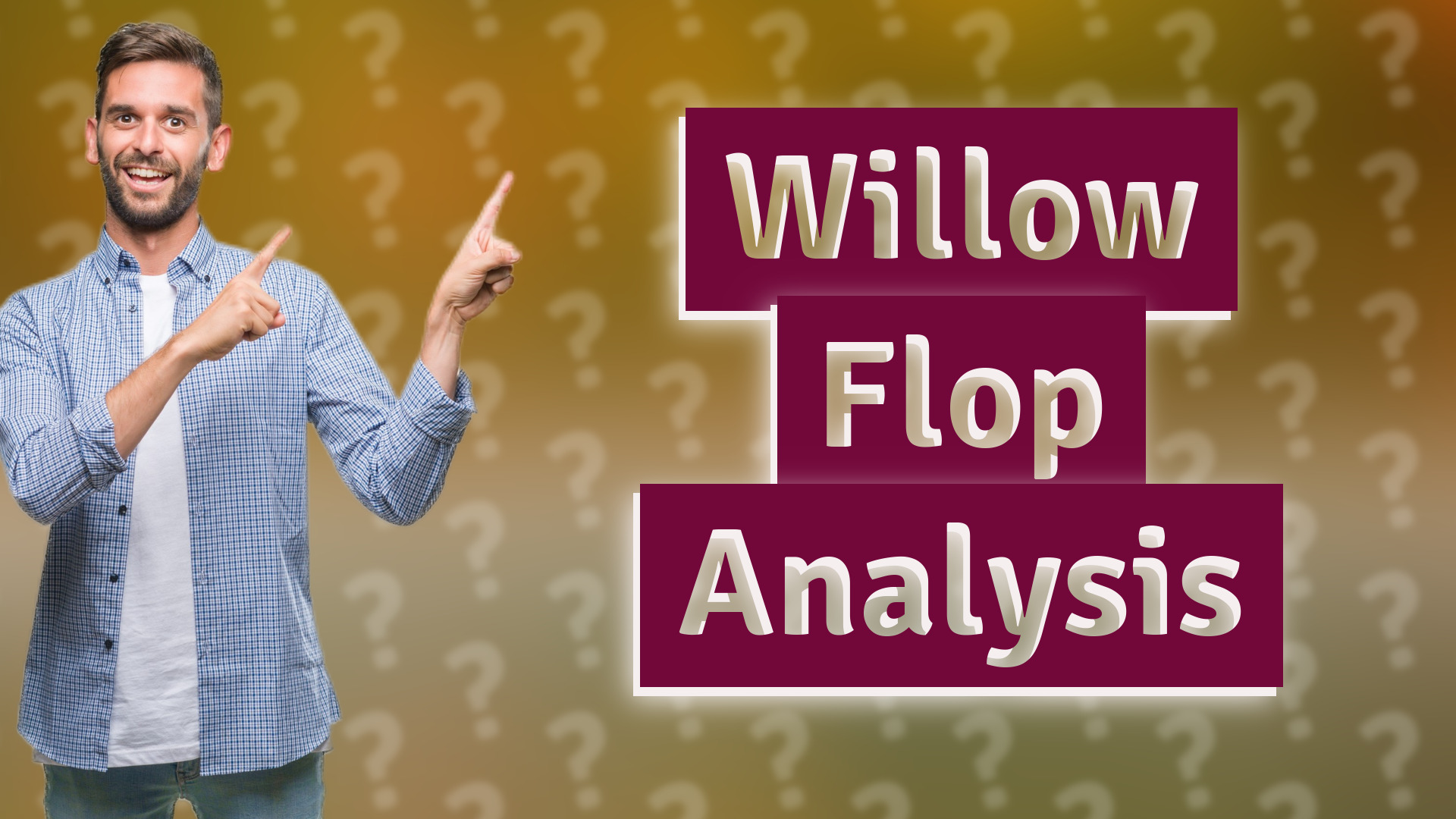 Willow Flop Analysis