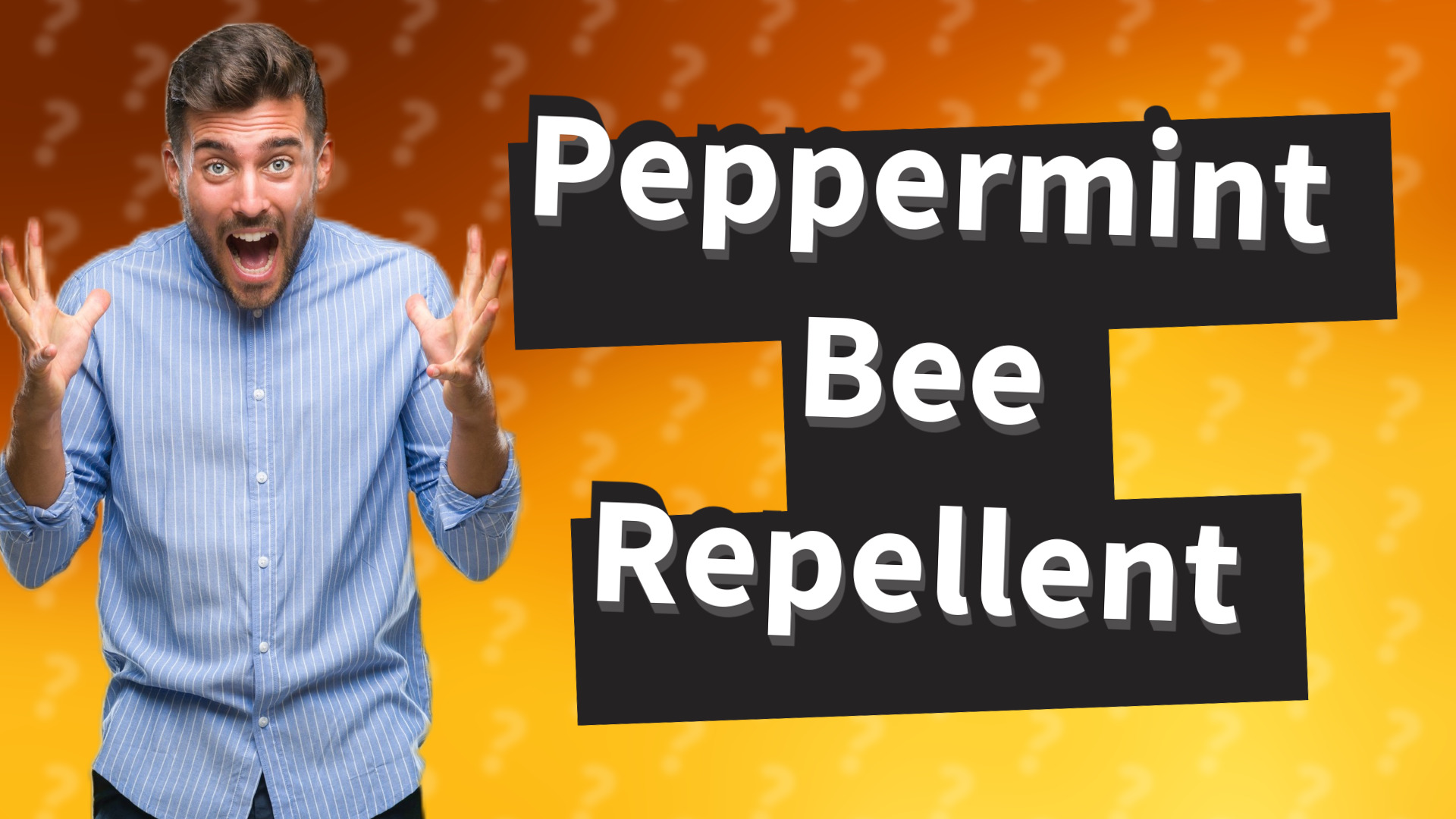 Peppermint Bee Repellent