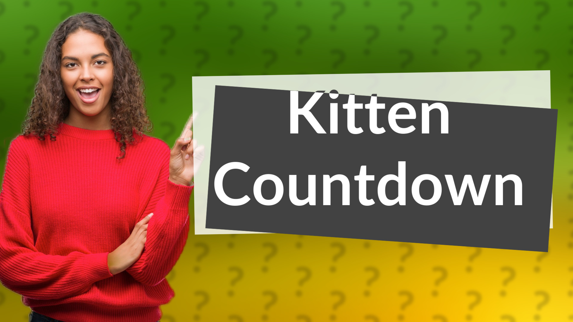 Kitten Countdown