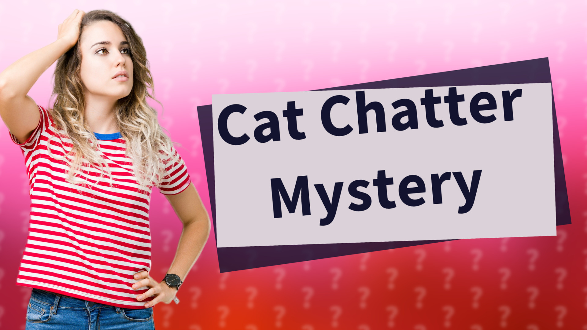 Cat Chatter Mystery