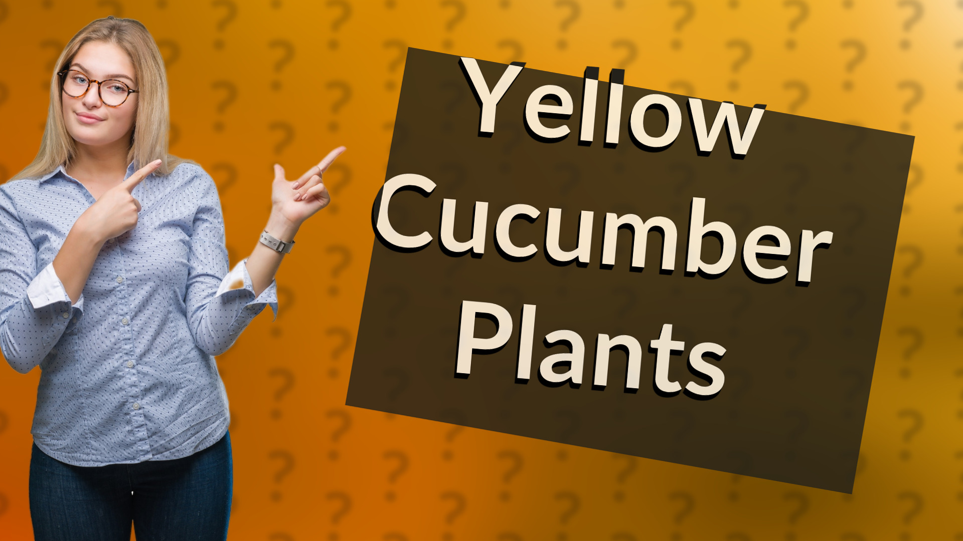 Yellow Cucumber Plants
