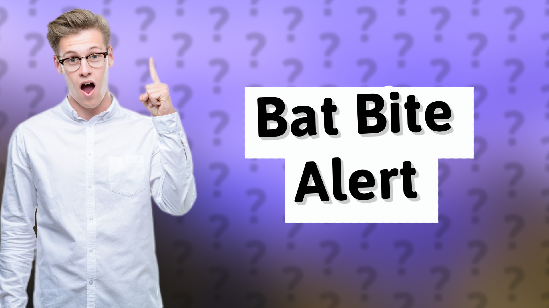 Bat Bite Alert