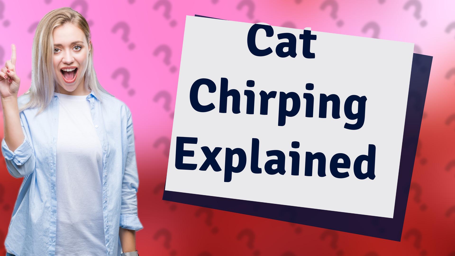 Cat Chirping Explained