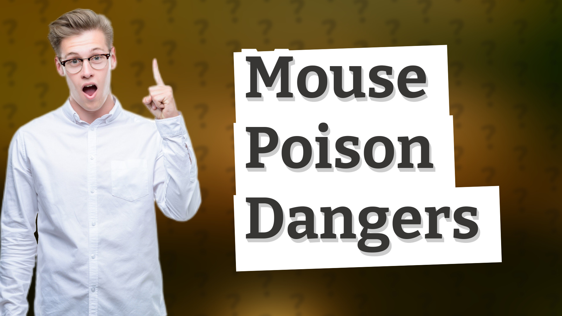 Mouse Poison Dangers