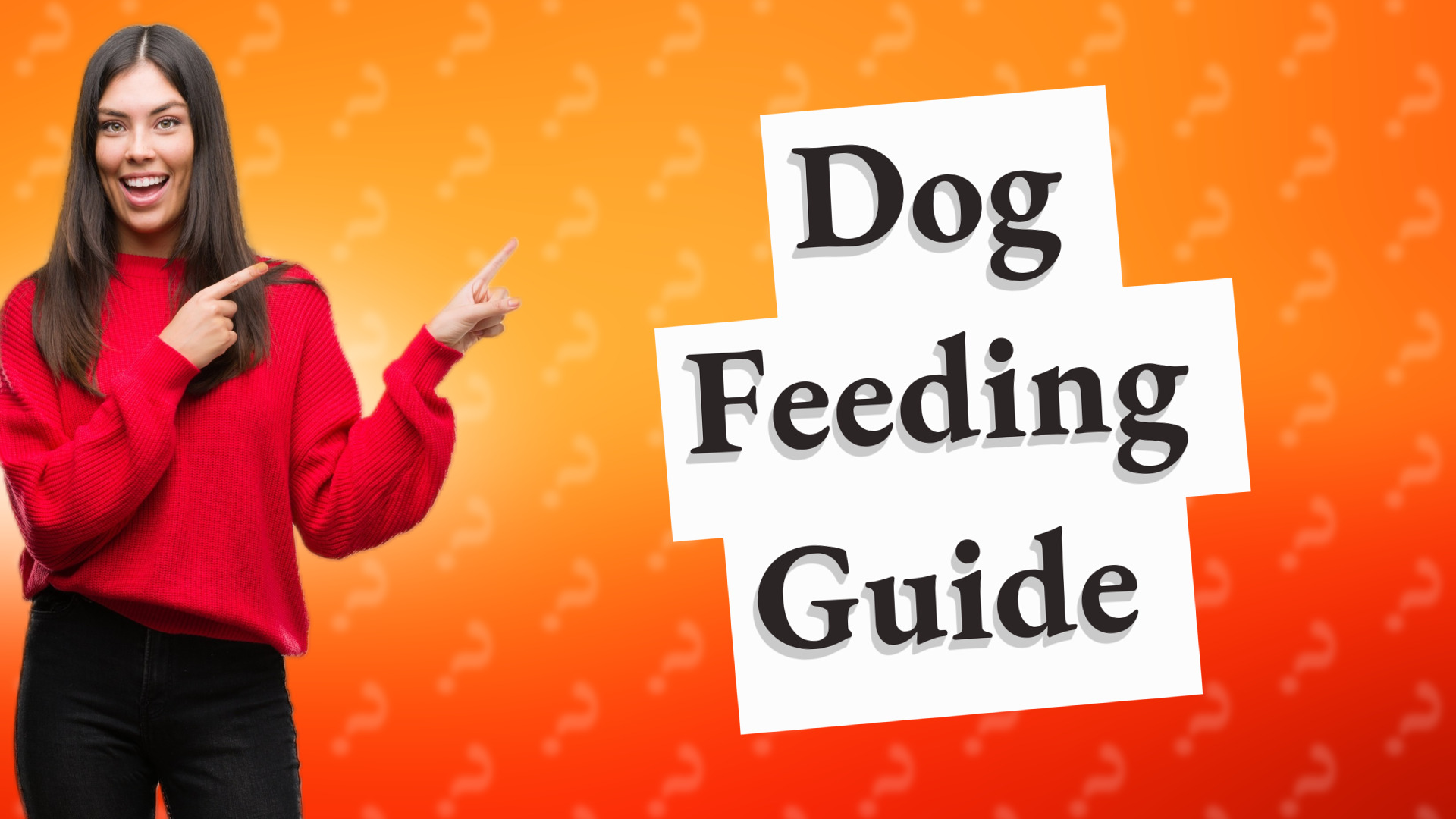 Dog Feeding Guide