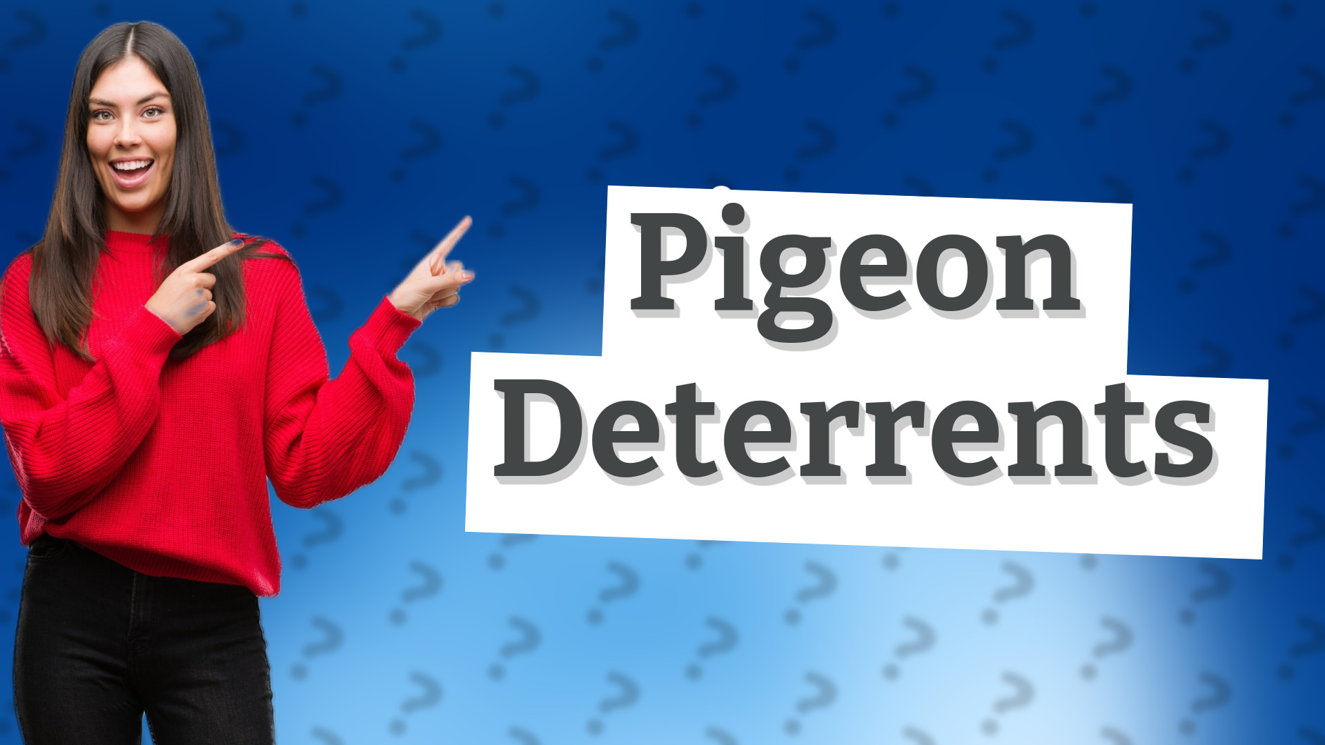 Pigeon Deterrents