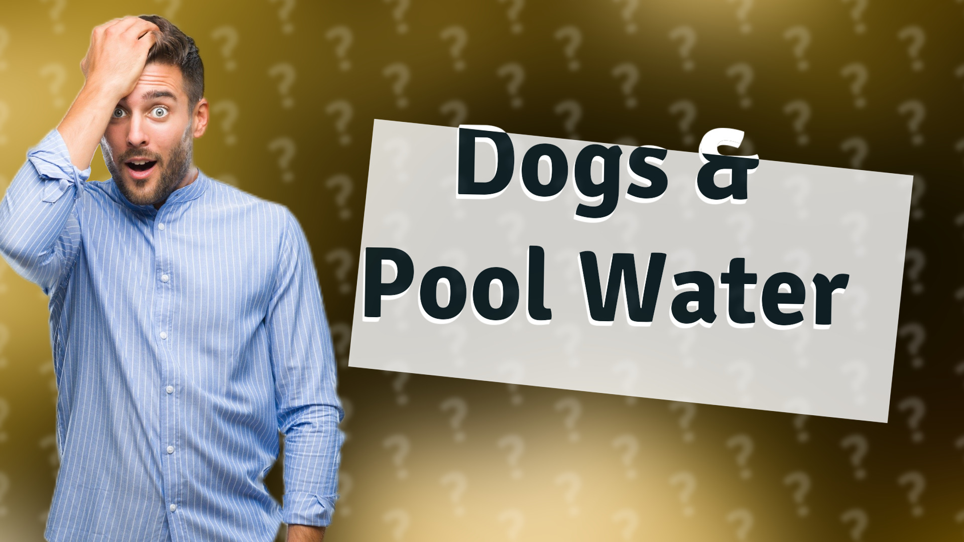 Dogs & Pool Water