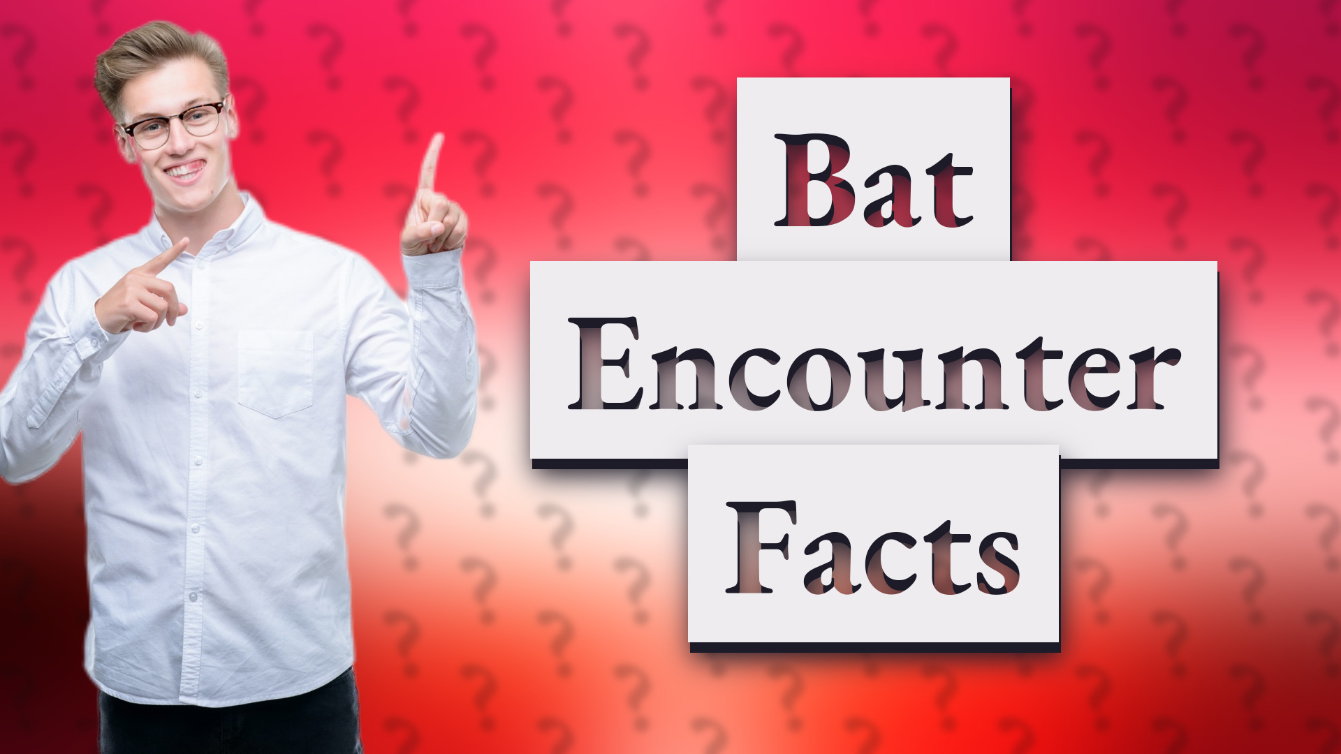 Bat Encounter Facts