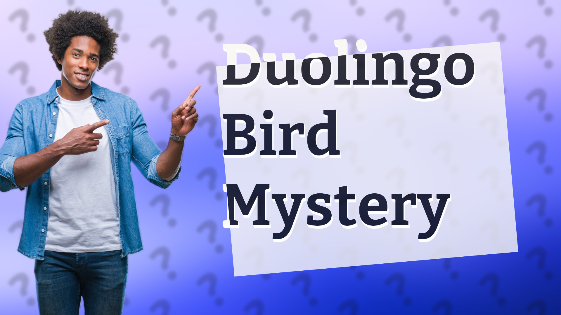 Duolingo Bird Mystery
