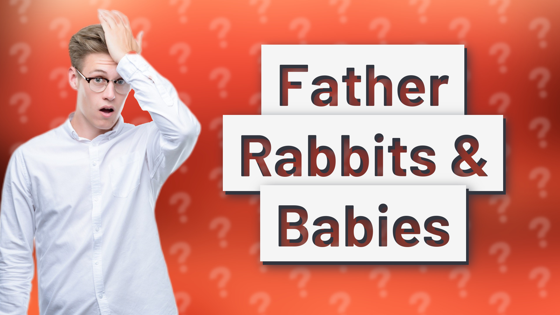Father Rabbits & Babies