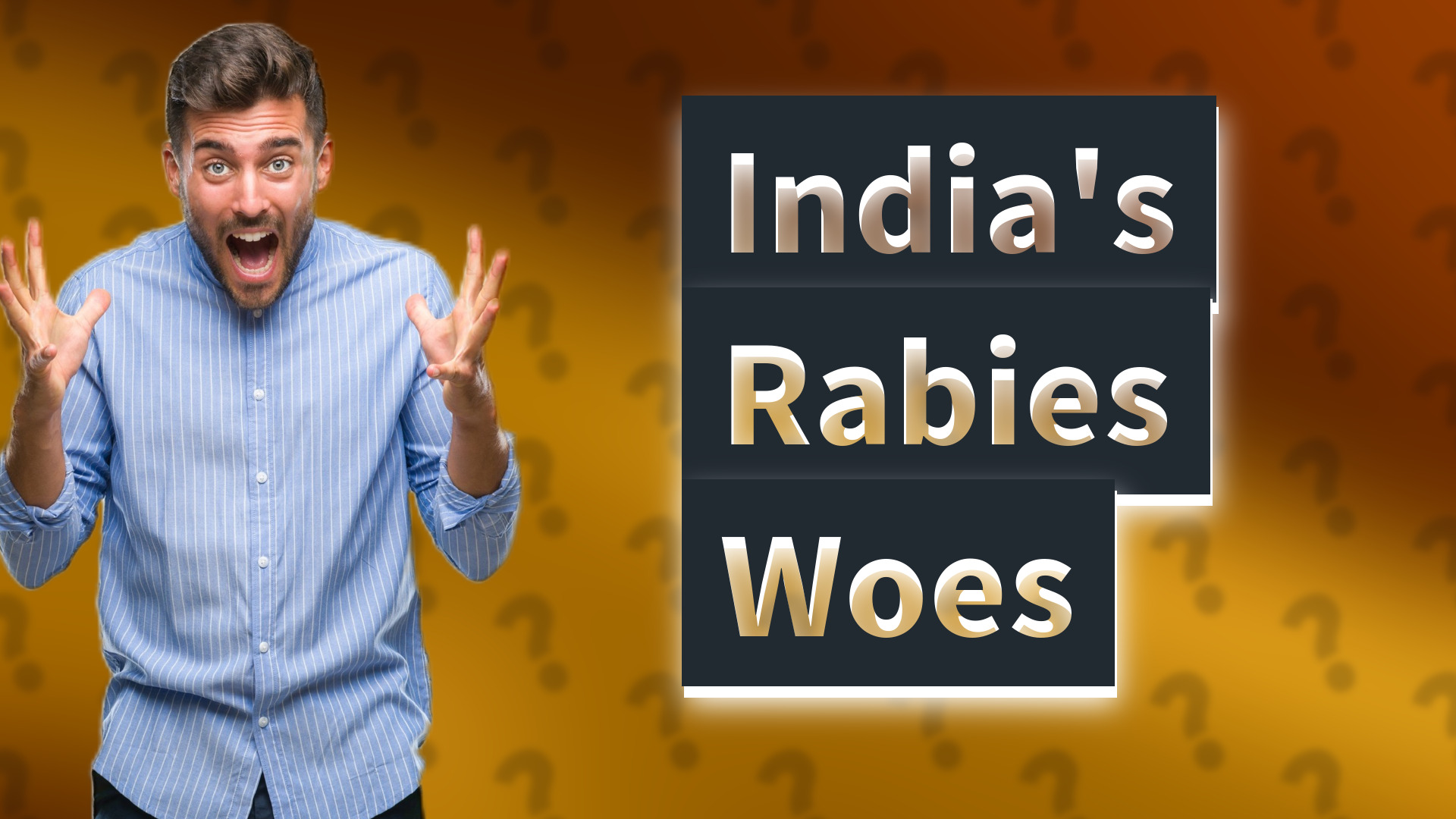 India's Rabies Woes