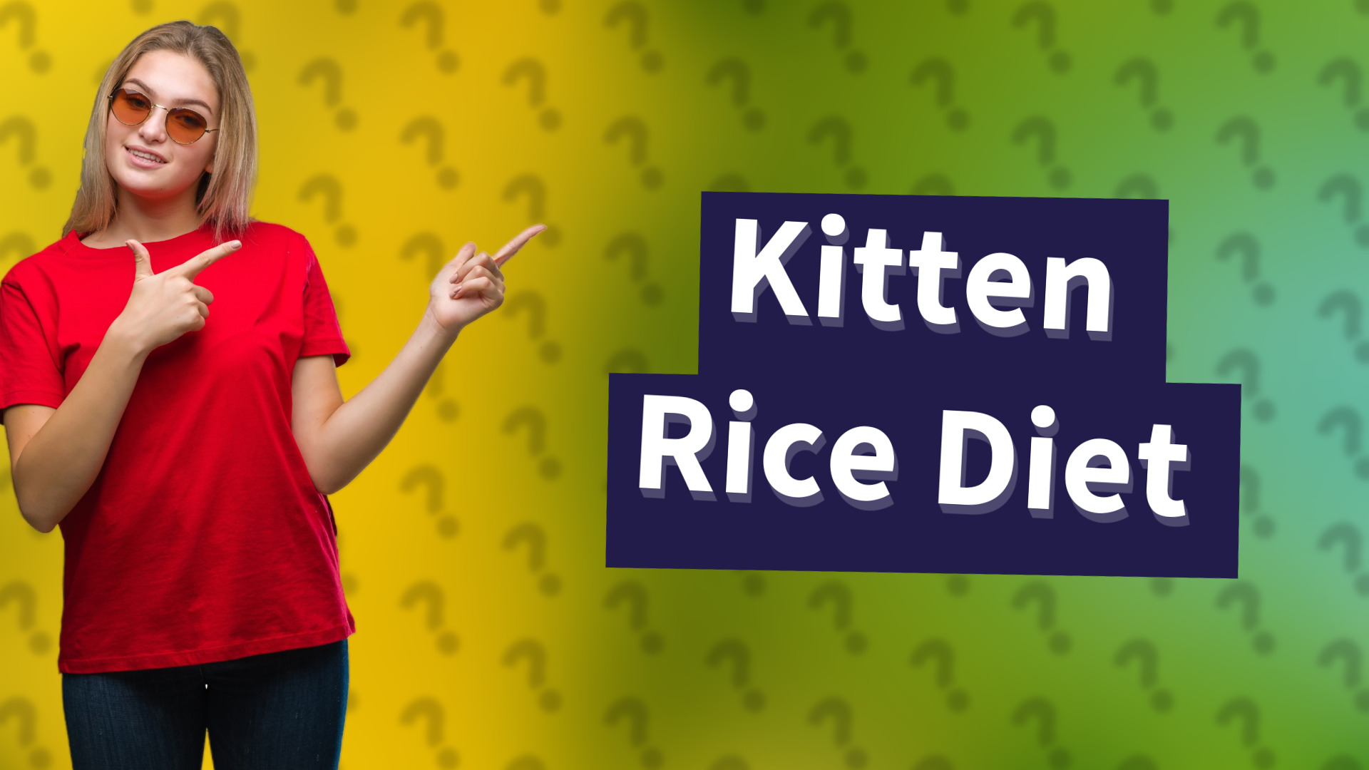 Kitten Rice Diet