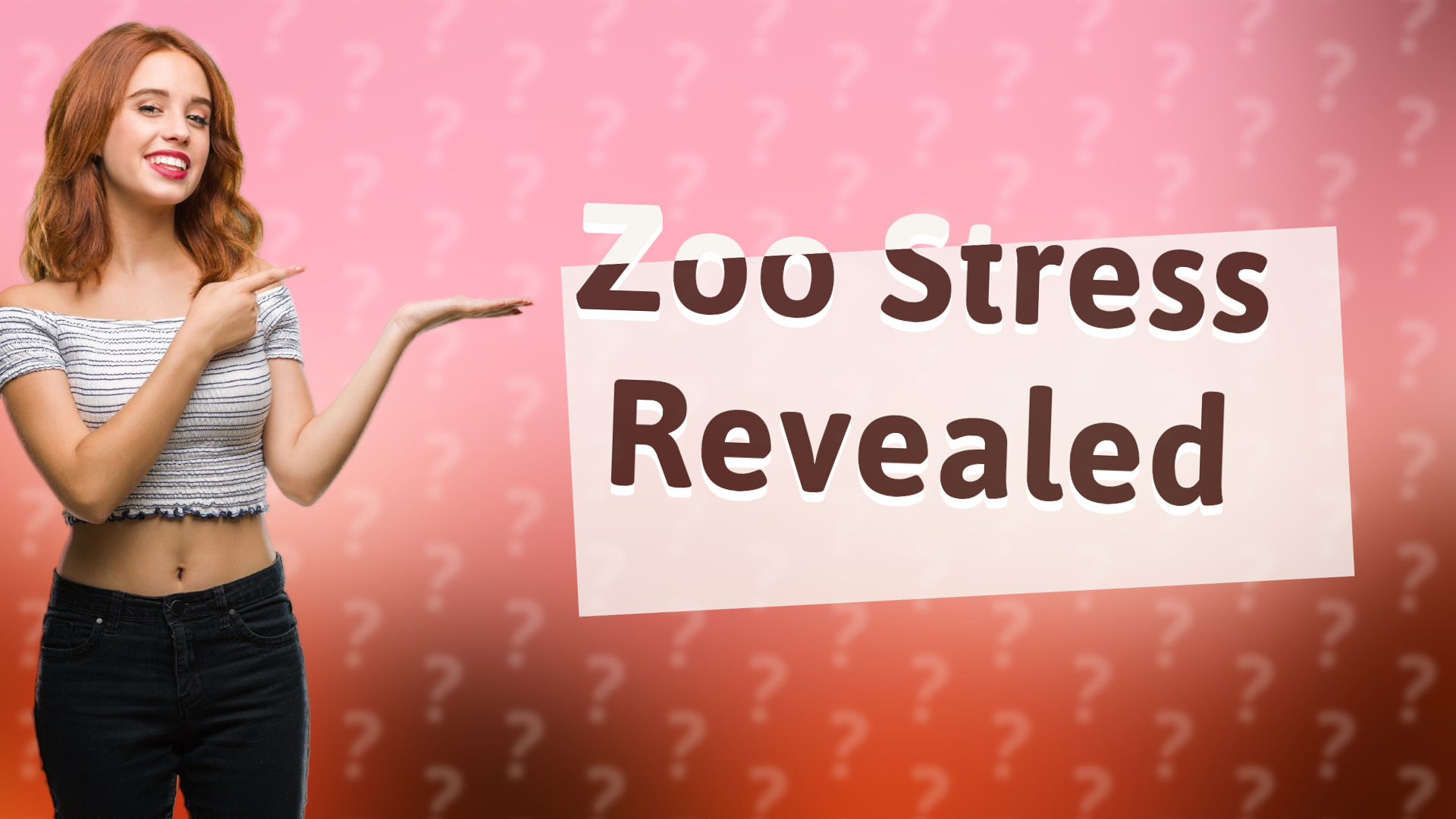 Zoo Stress Revealed