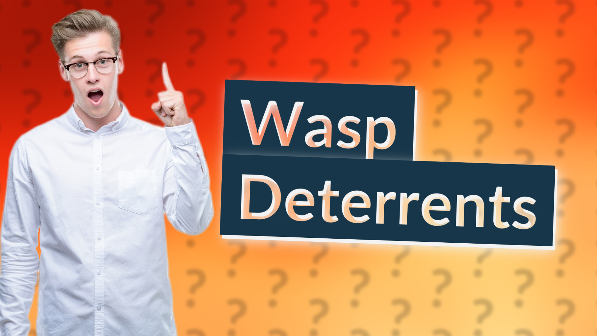 Wasp Deterrents
