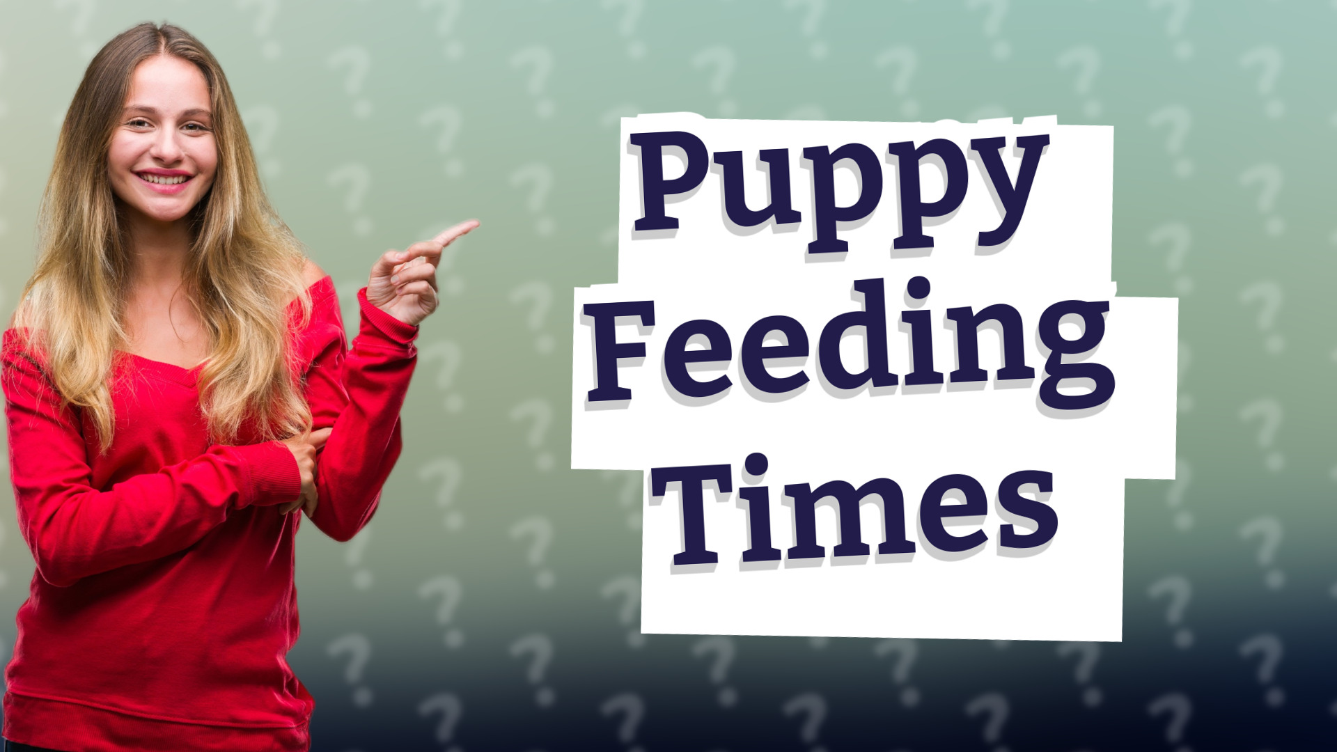 Puppy Feeding Times