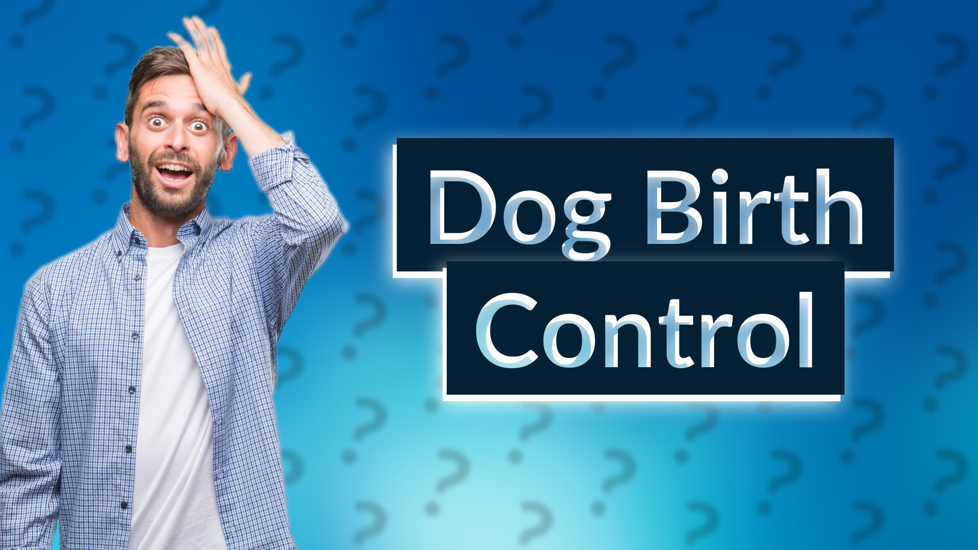 Dog Birth Control