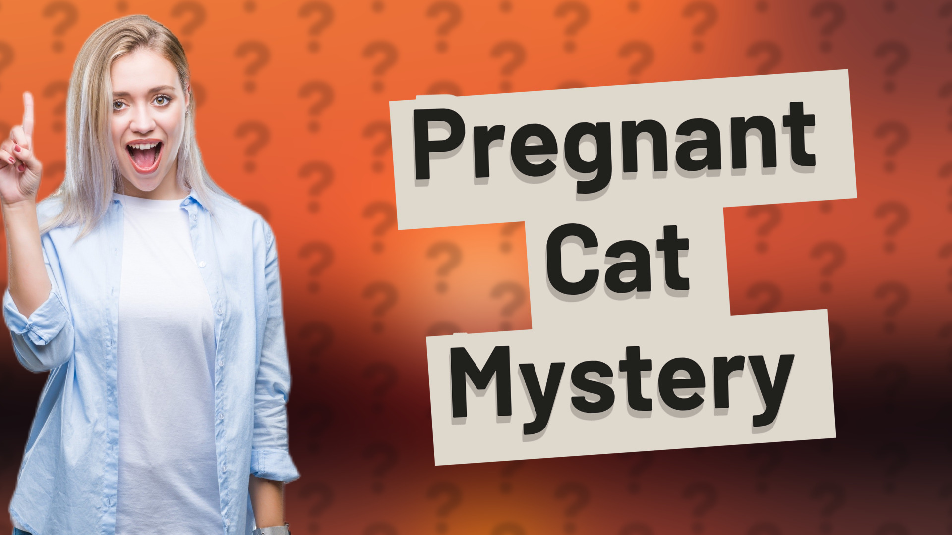 Pregnant Cat Mystery