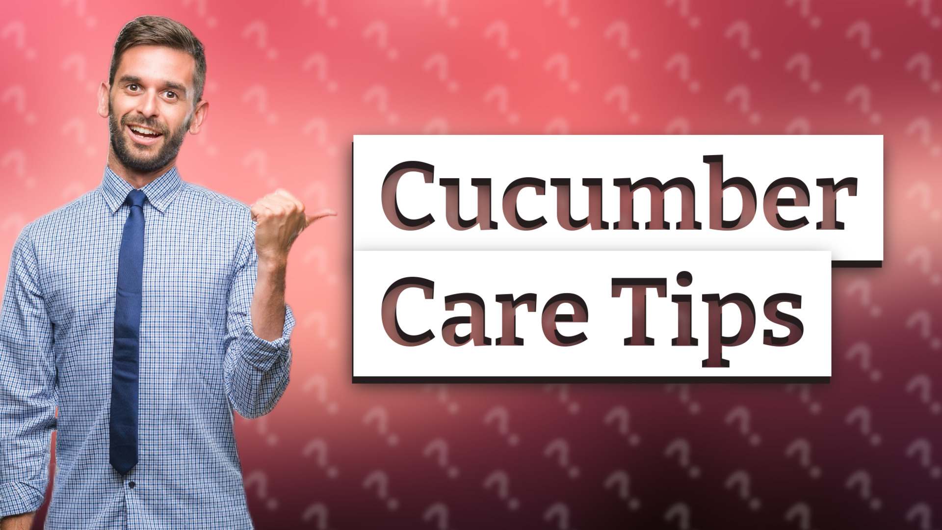 Cucumber Care Tips