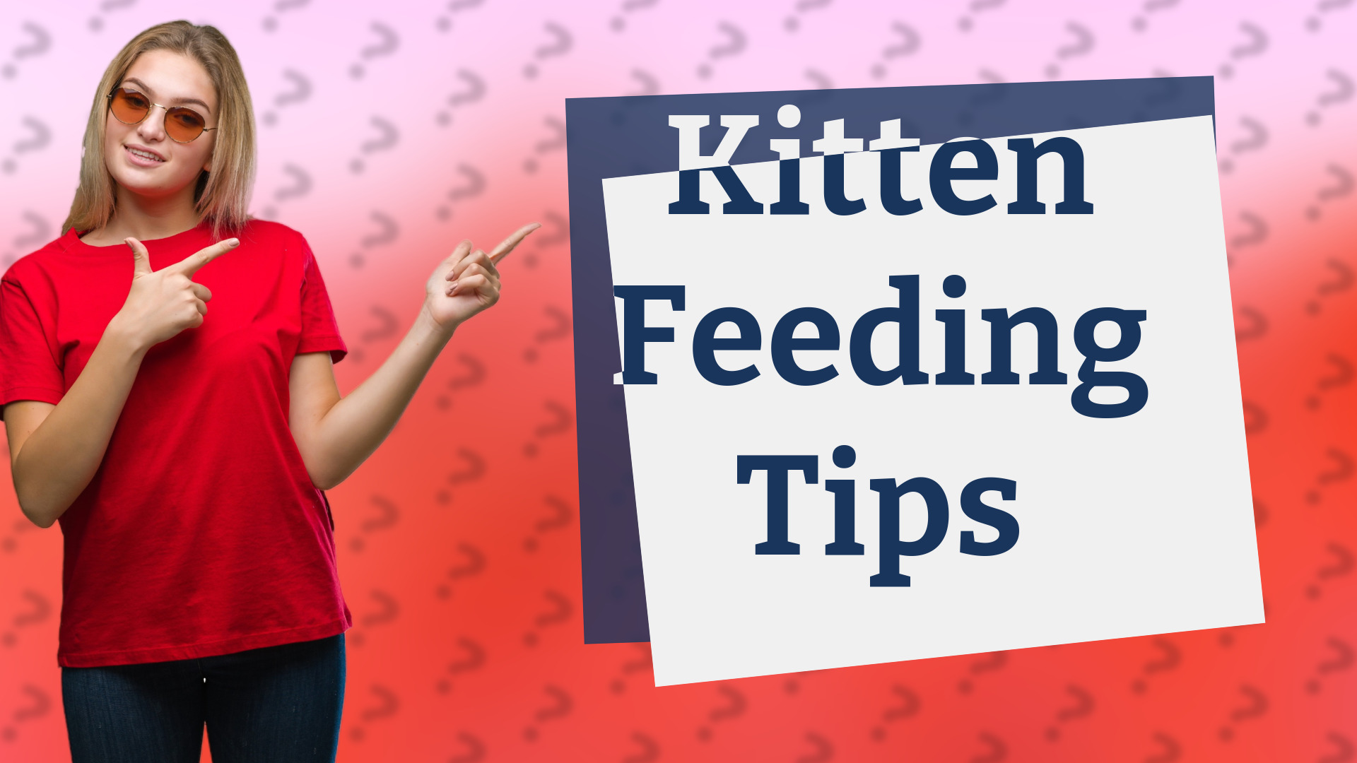 Kitten Feeding Tips