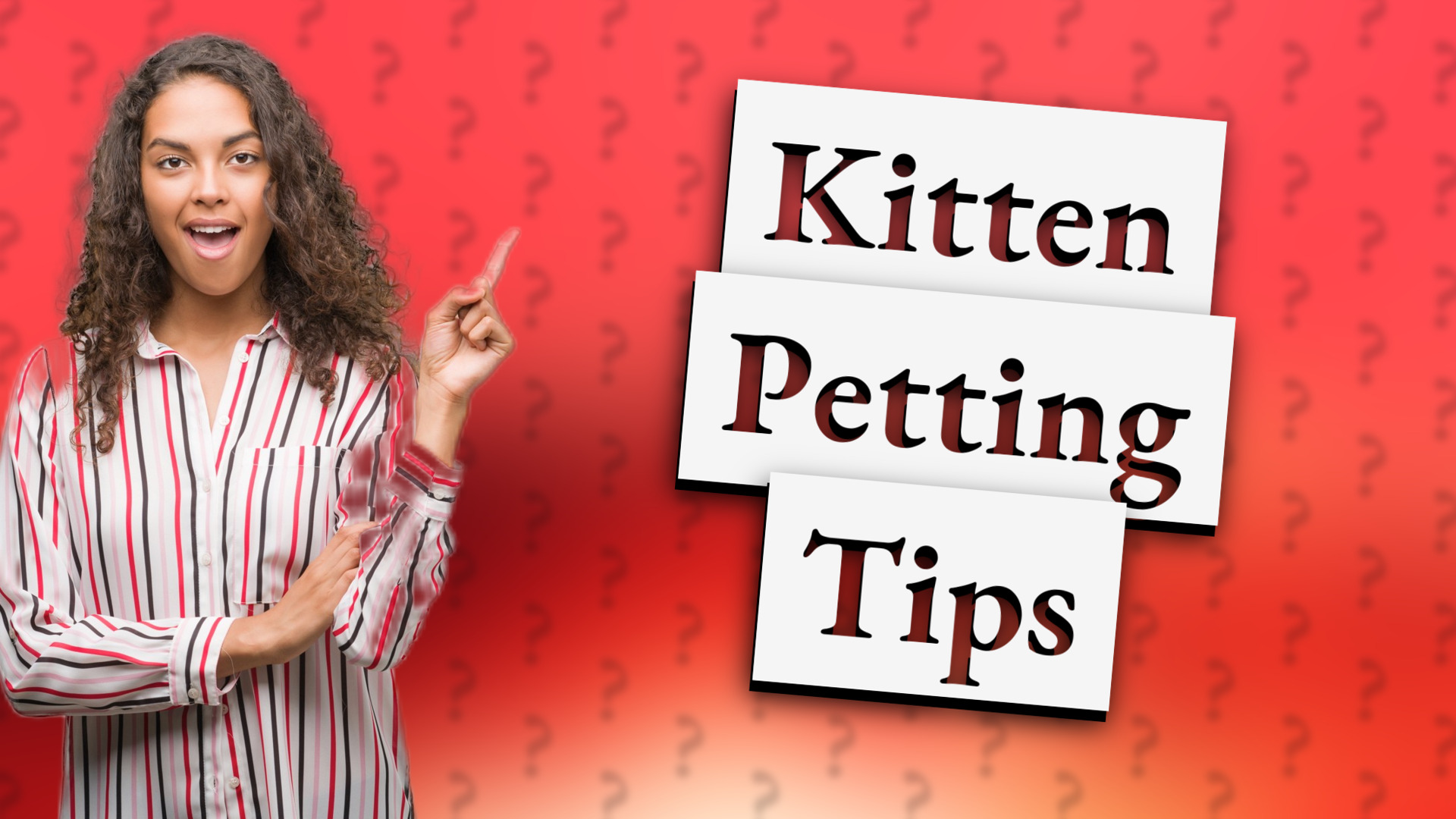 Kitten Petting Tips