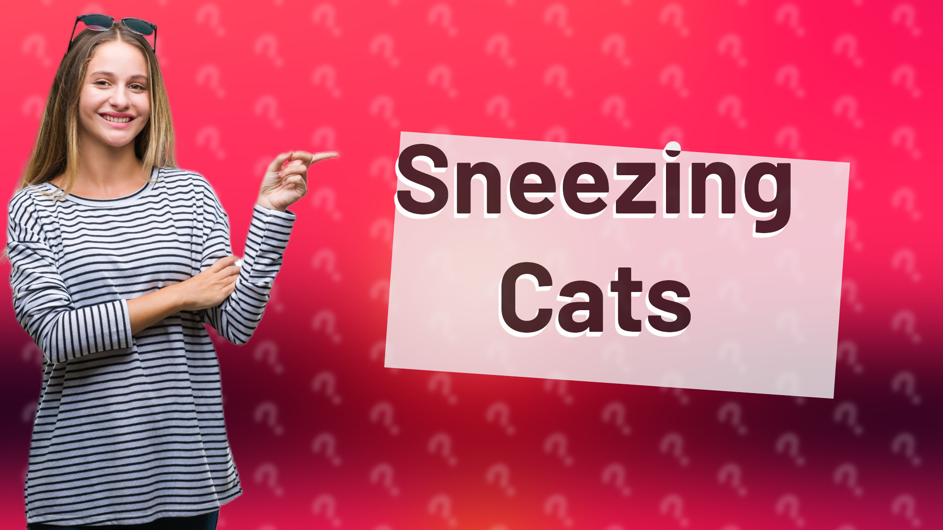 Sneezing Cats
