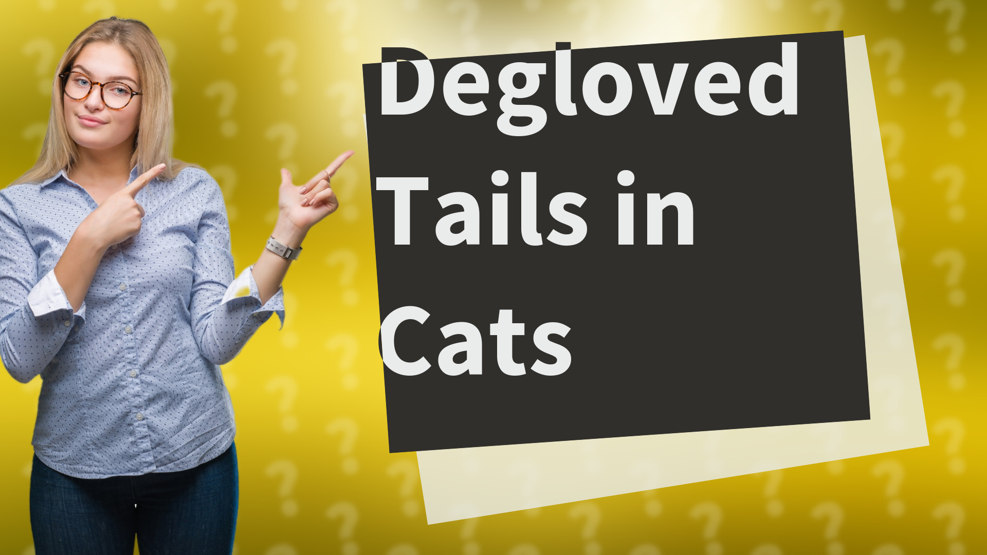 Degloved Tails in Cats