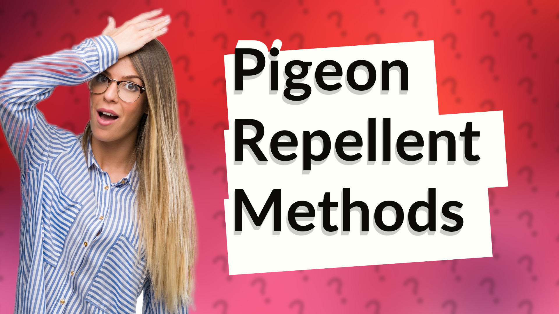Pigeon Repellent Methods