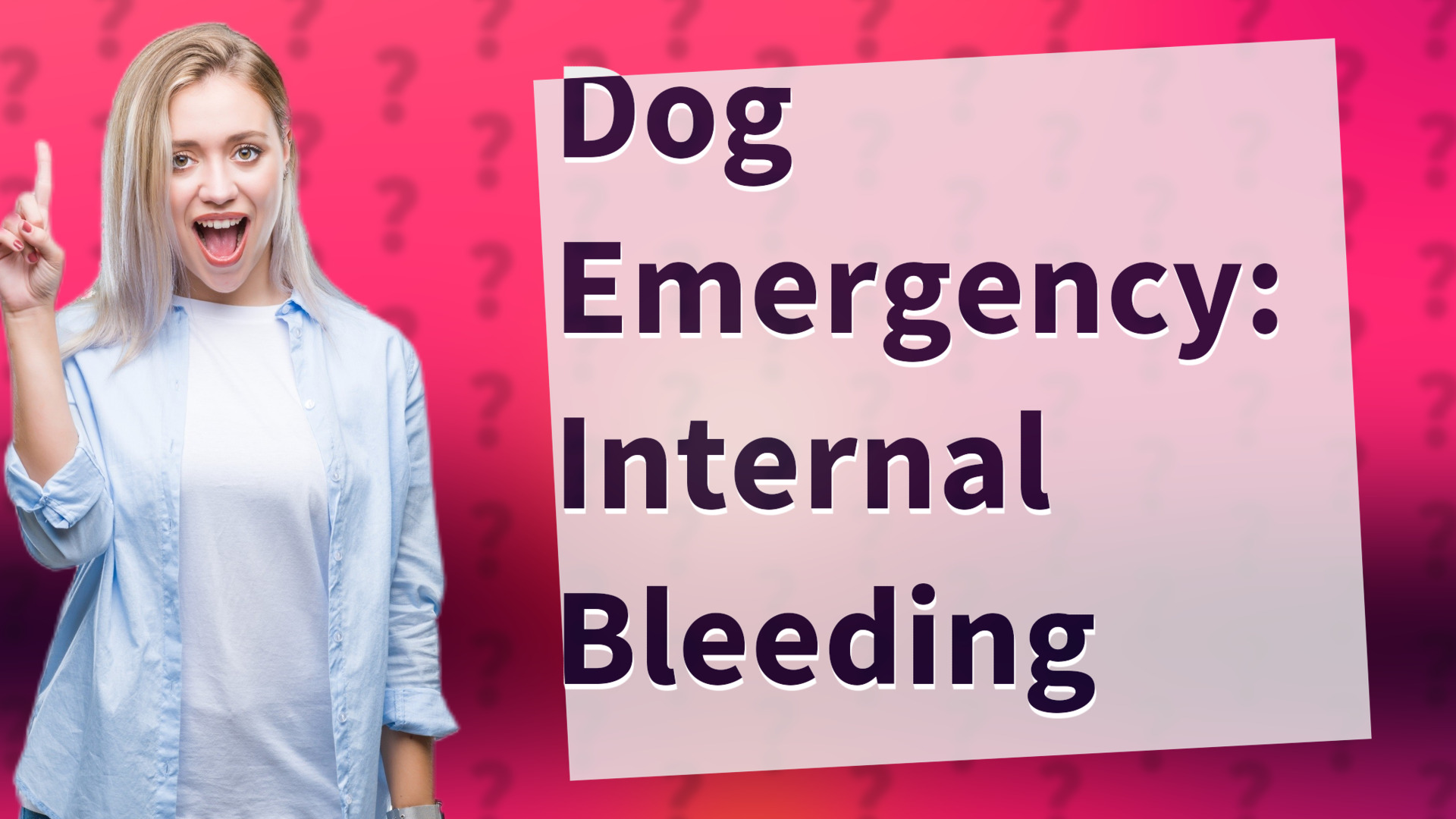 Dog Emergency: Internal Bleeding