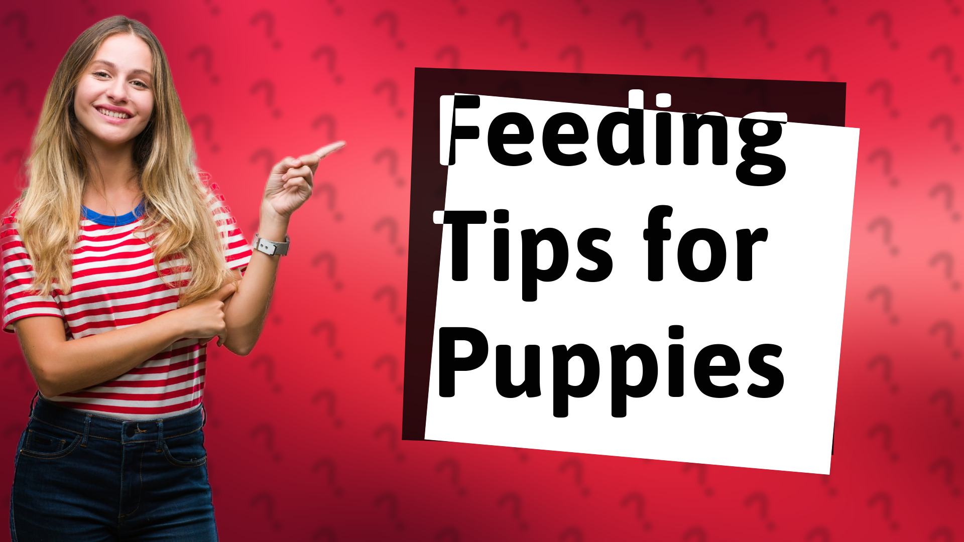 Feeding Tips for Puppies