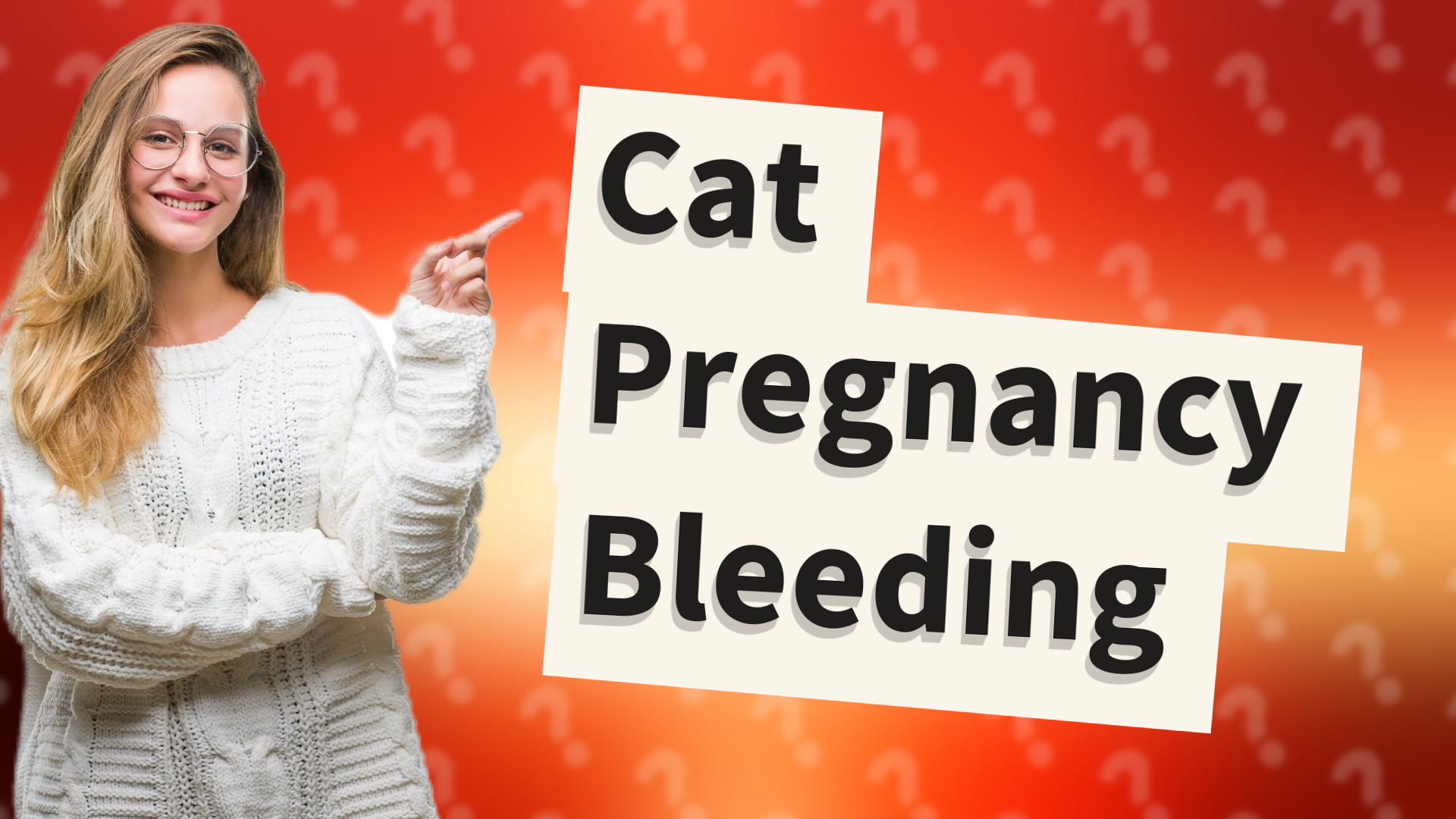 Cat Pregnancy Bleeding