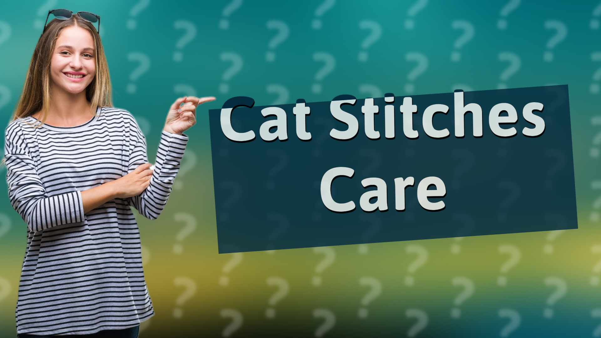 Cat Stitches Care