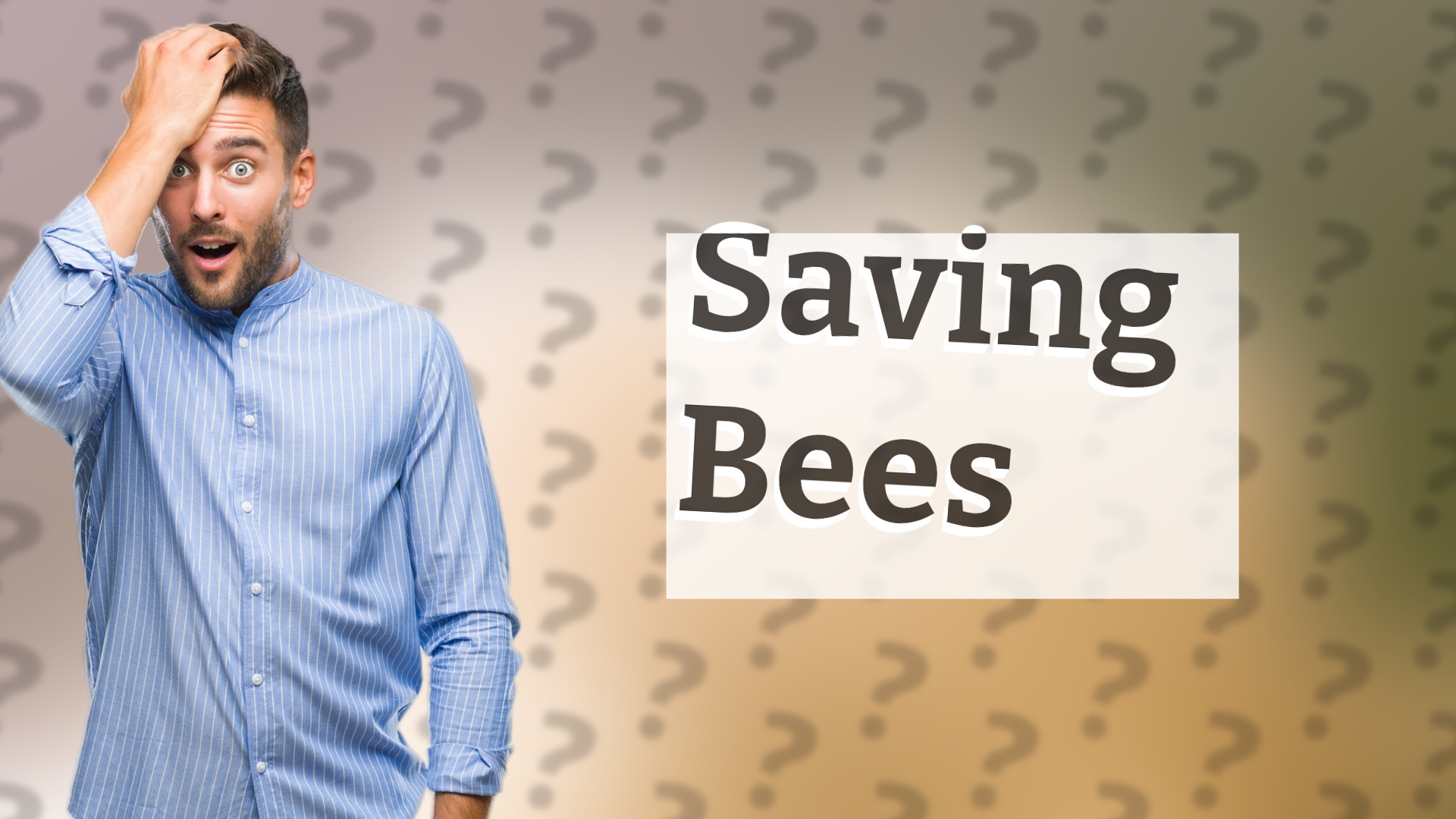 Saving Bees