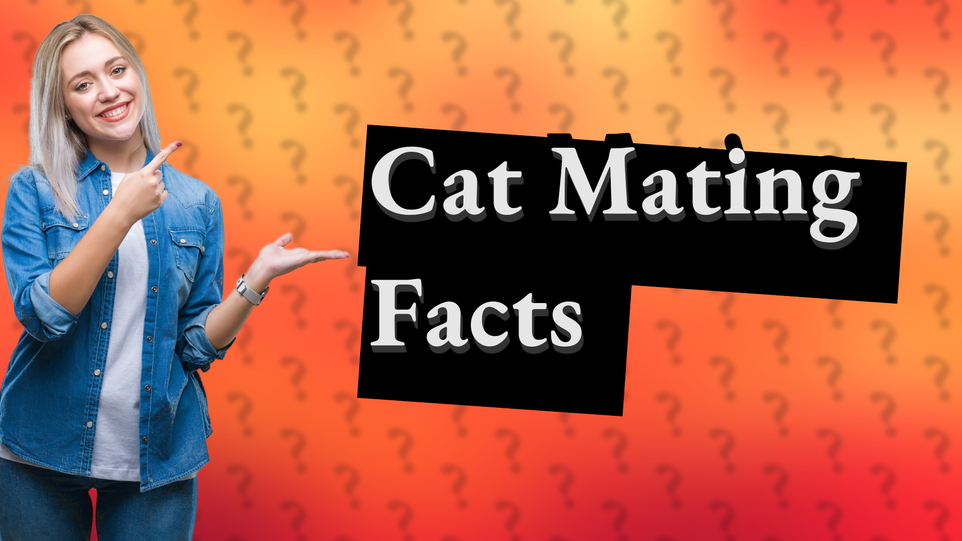 Cat Mating Facts