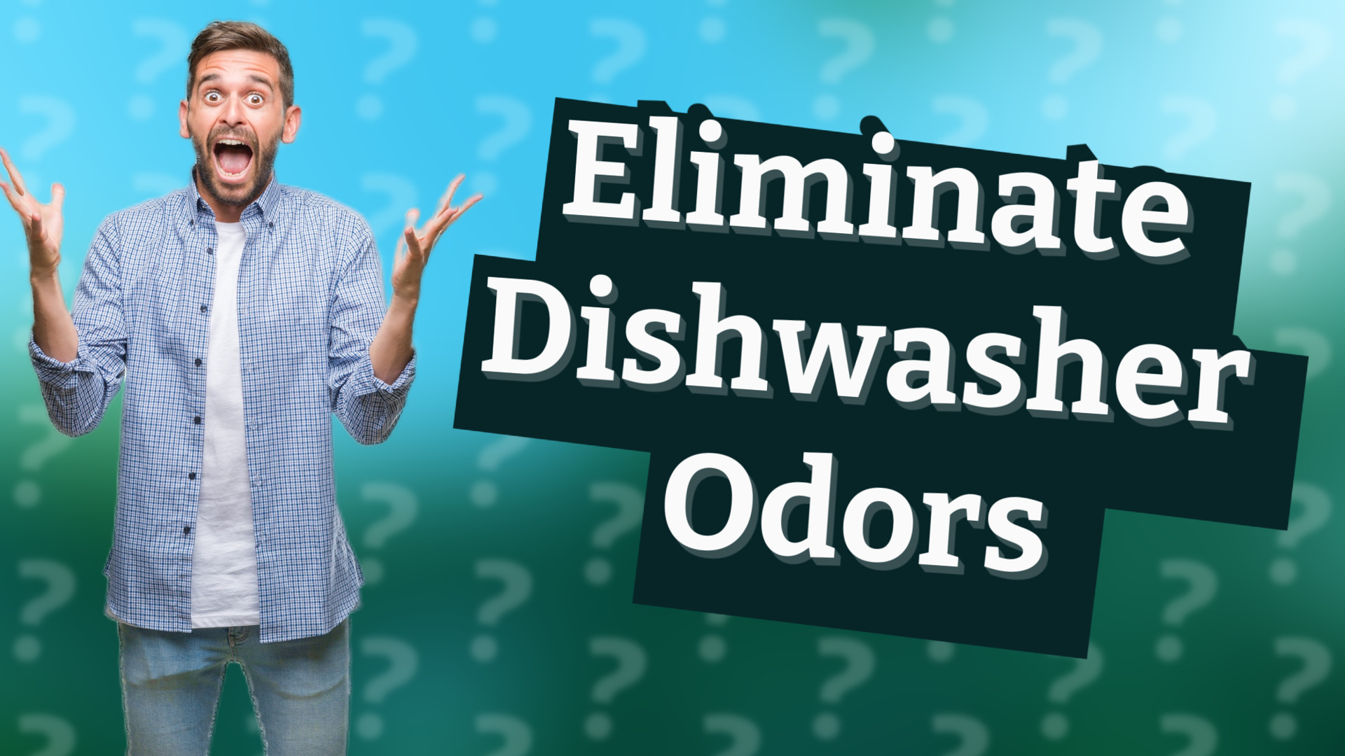 Eliminate Dishwasher Odors