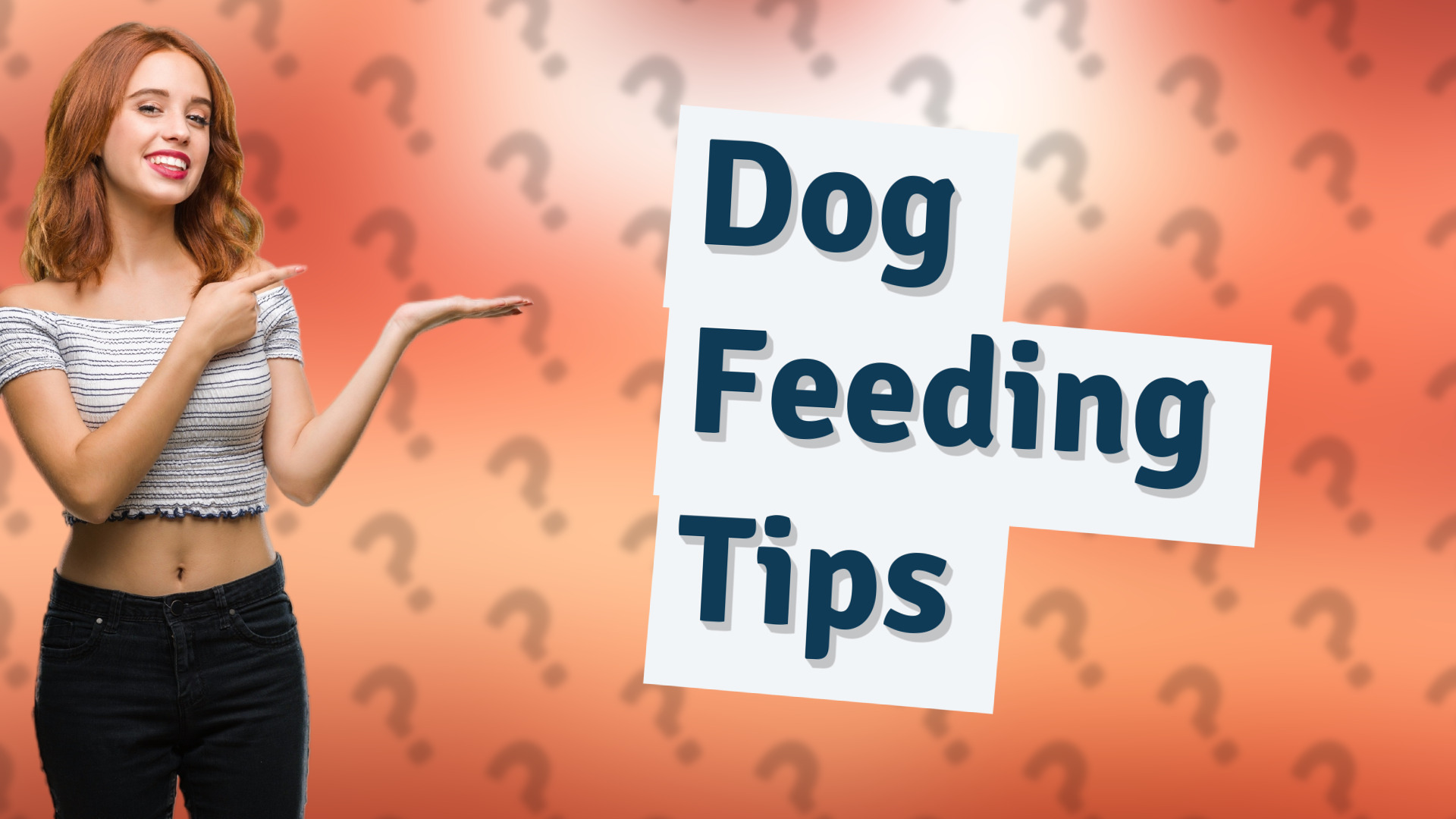 Dog Feeding Tips