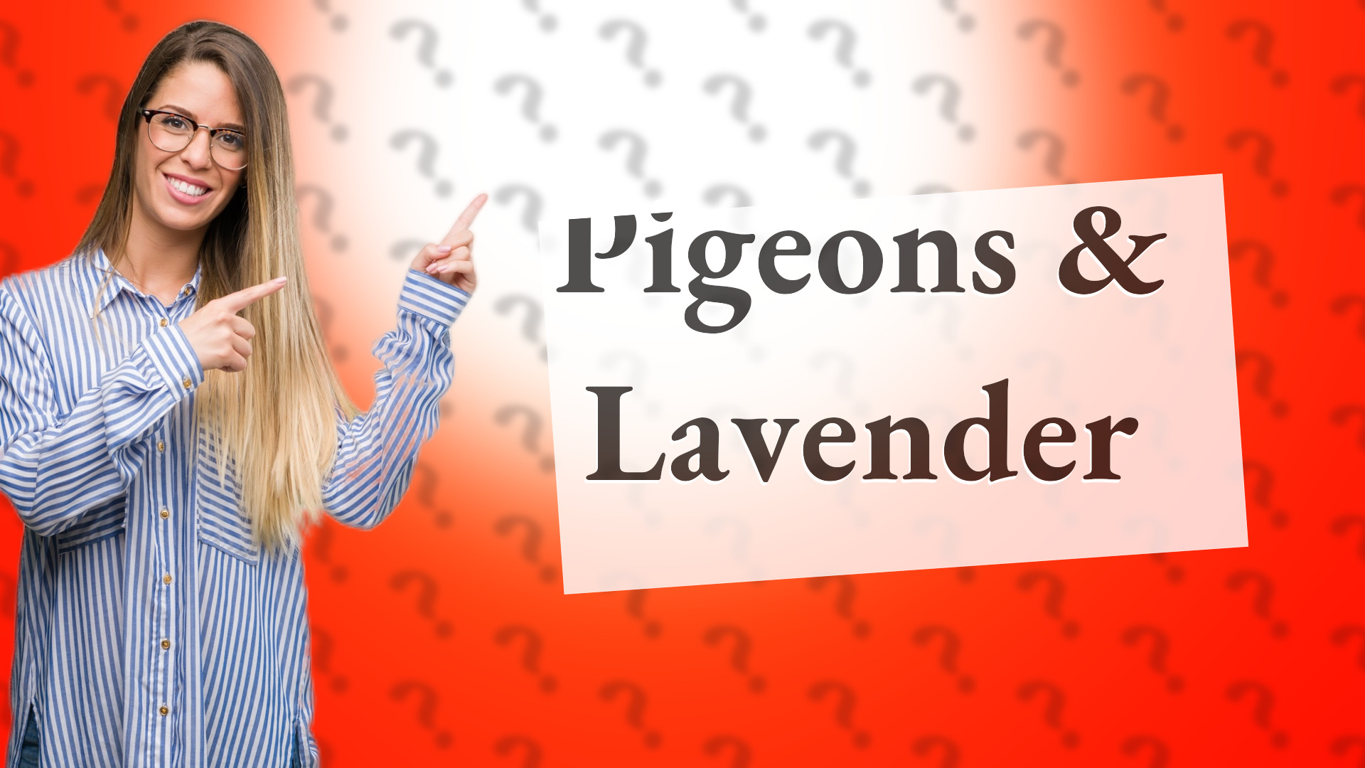 Pigeons & Lavender