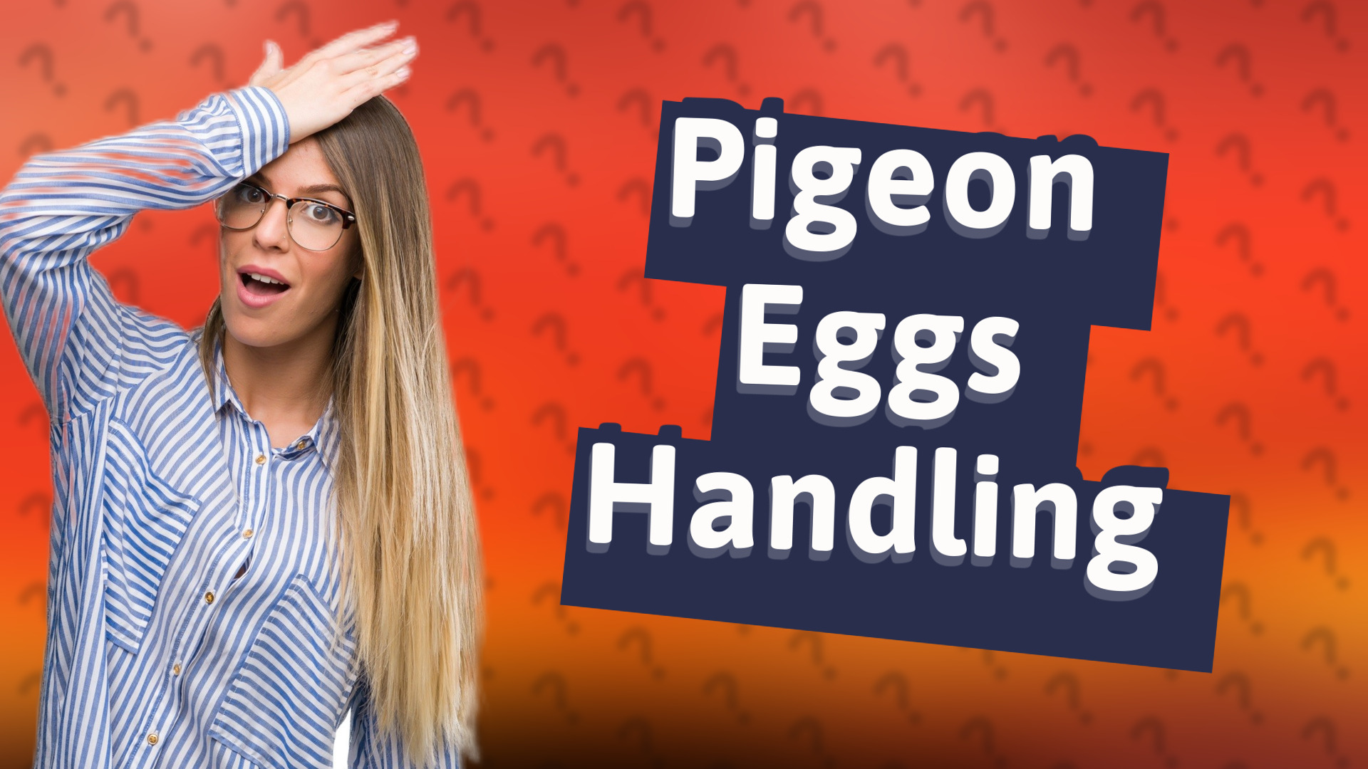 Pigeon Eggs Handling