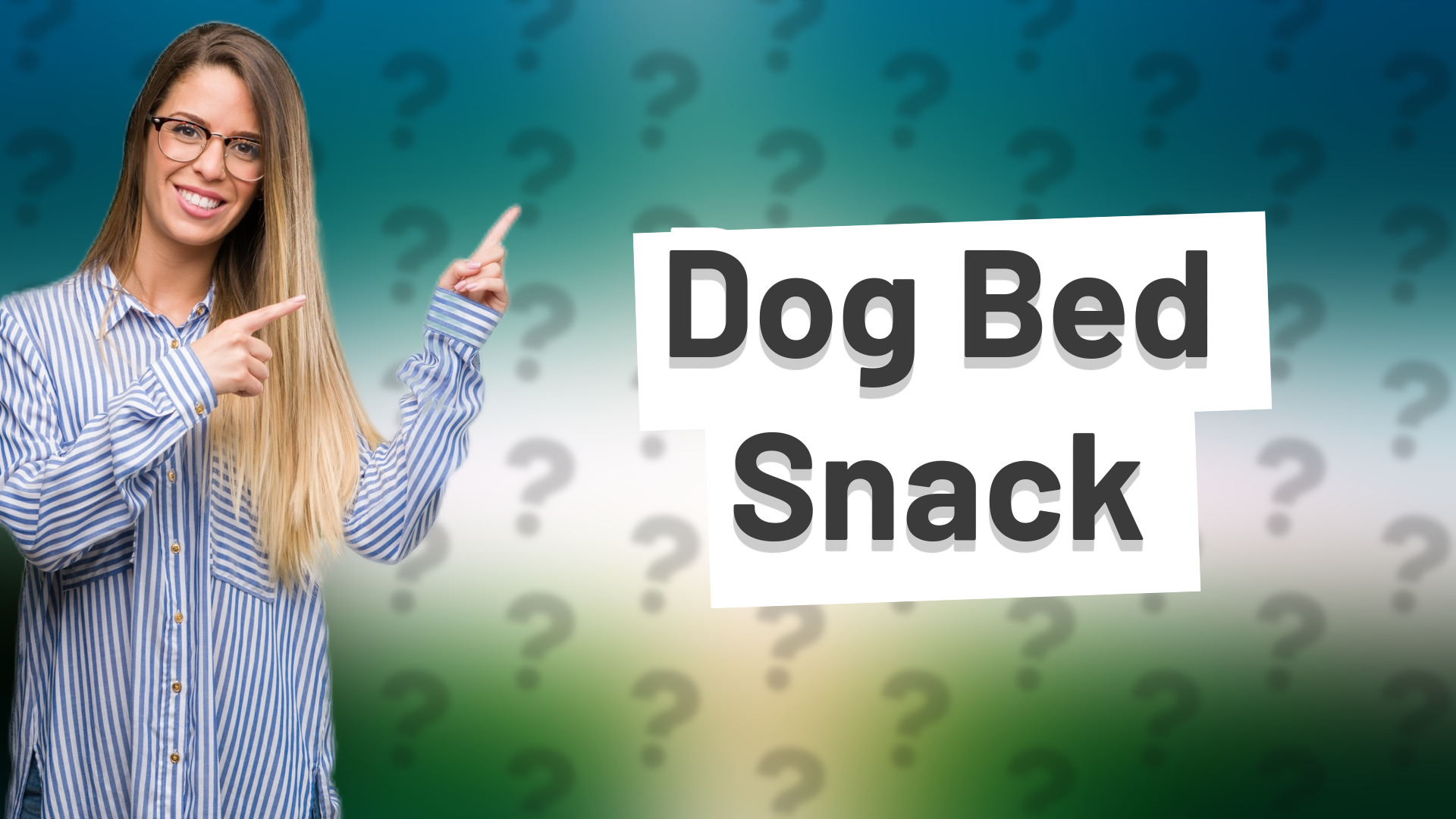 Dog Bed Snack