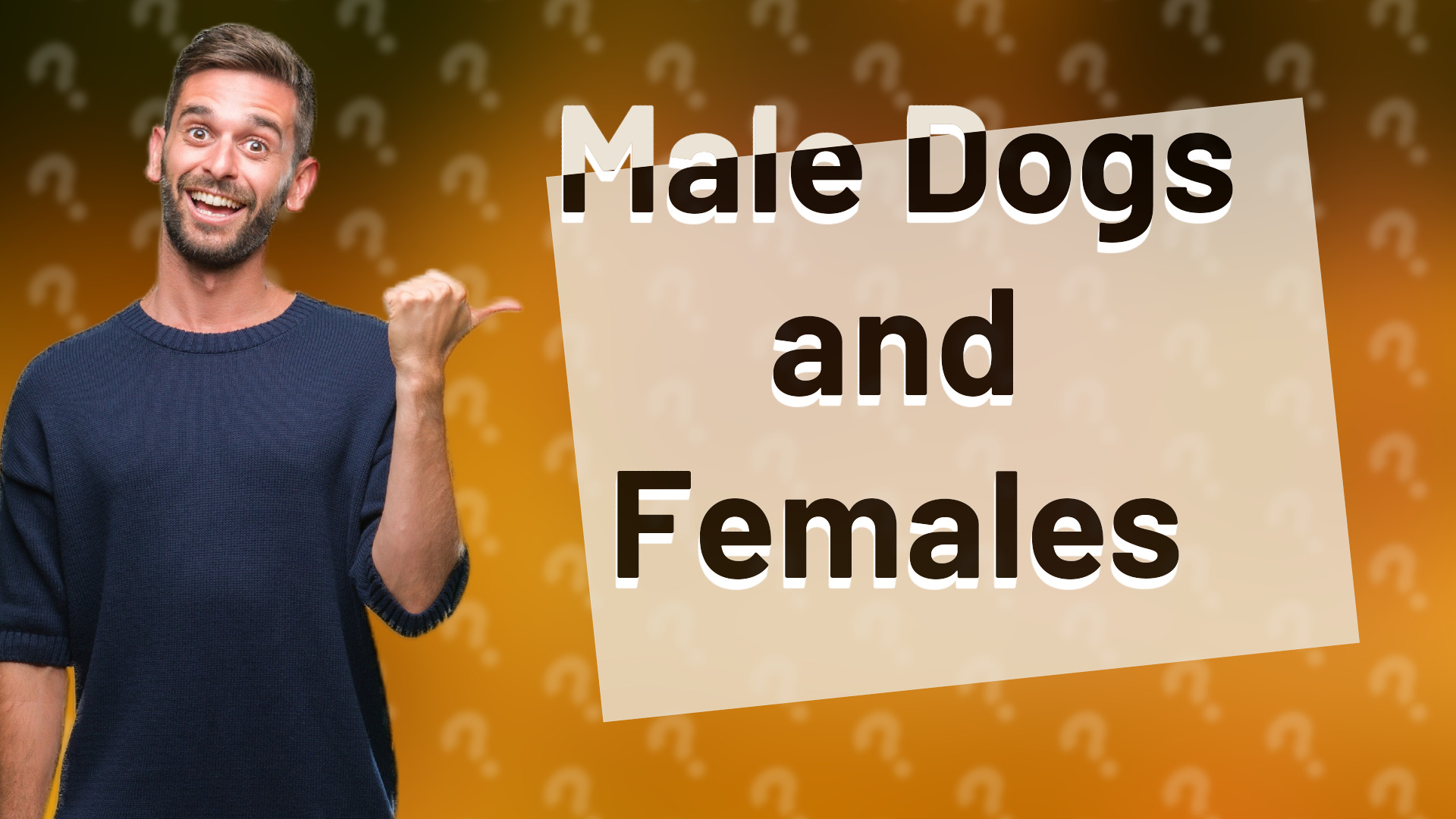 Male Dogs and Females