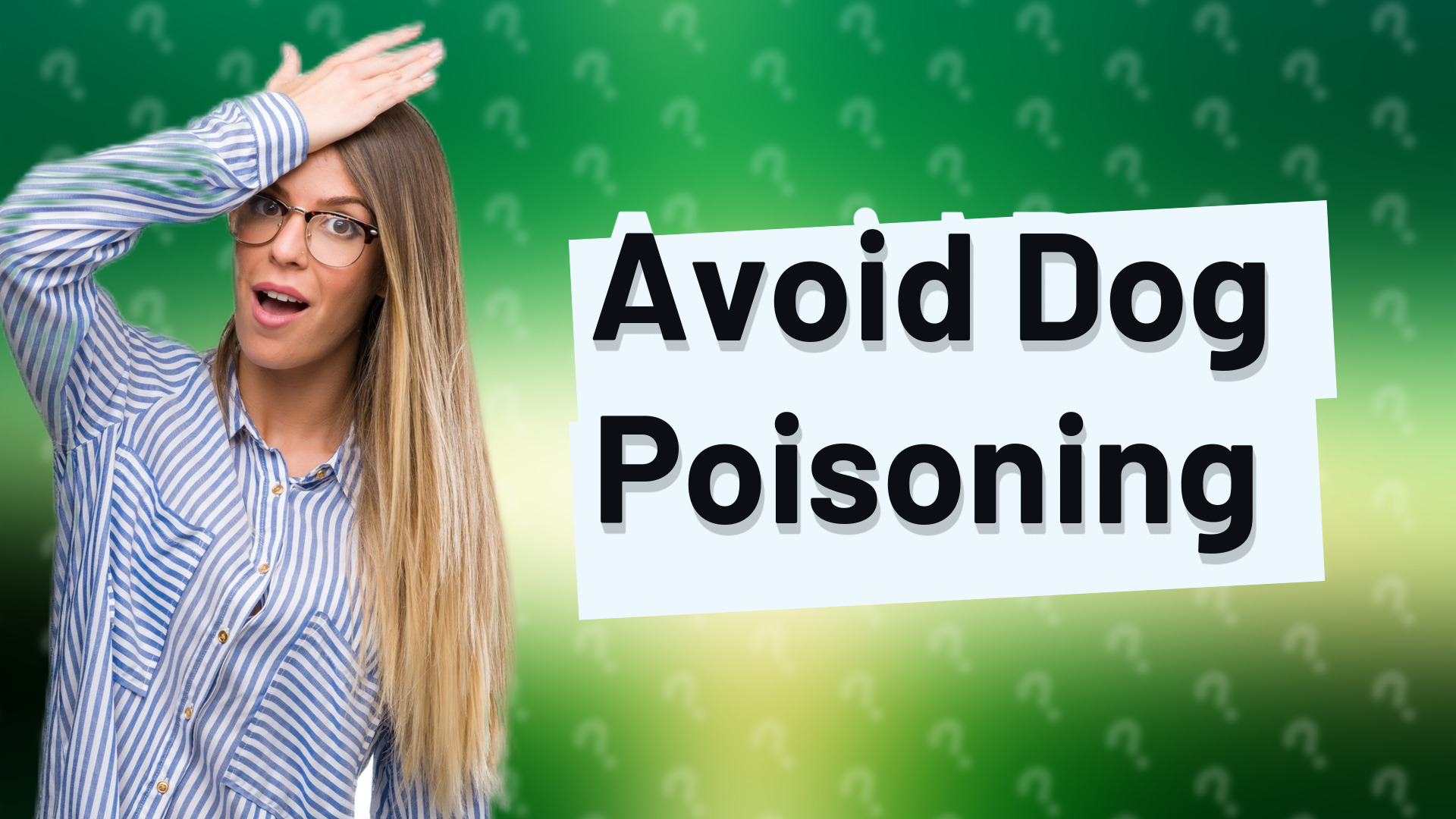 Avoid Dog Poisoning