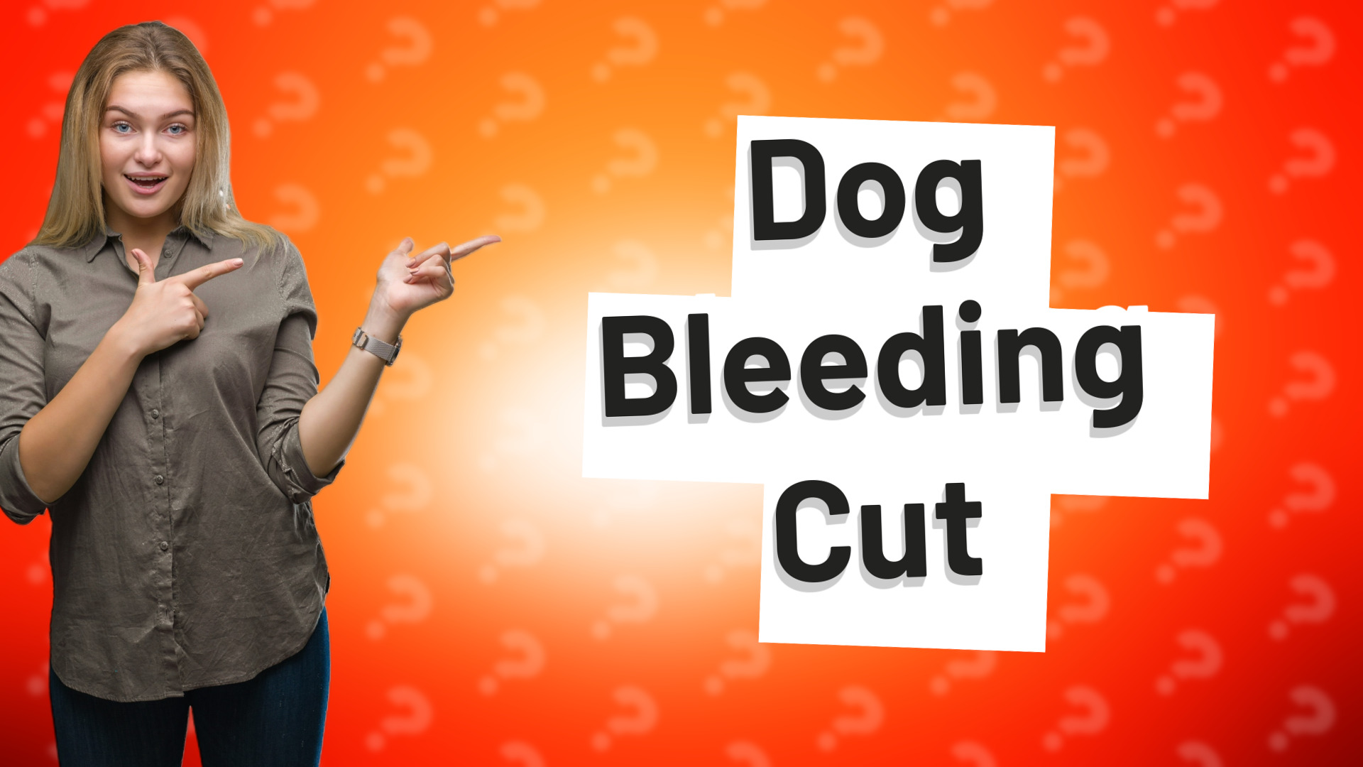 Dog Bleeding Cut