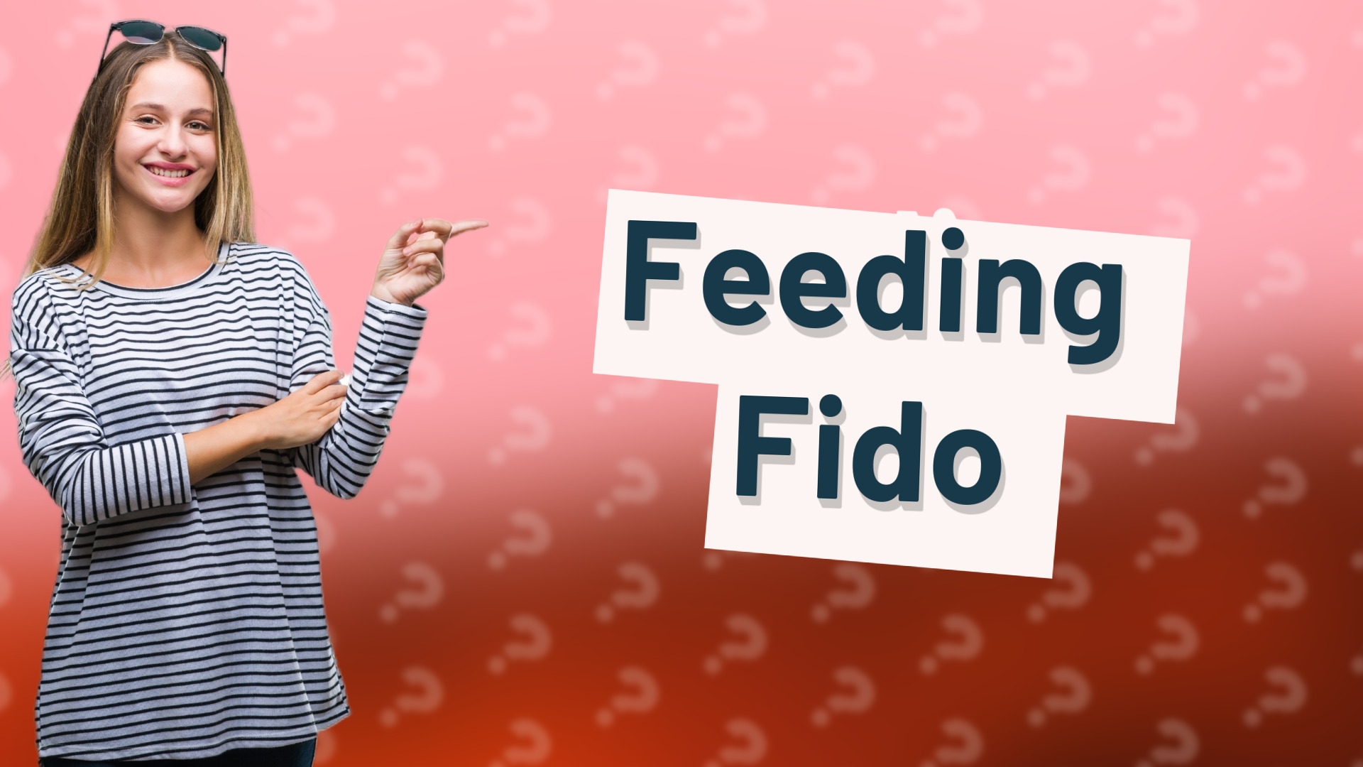 Feeding Fido