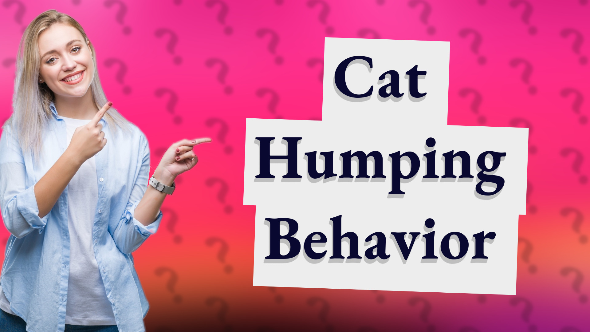 Cat Humping Behavior